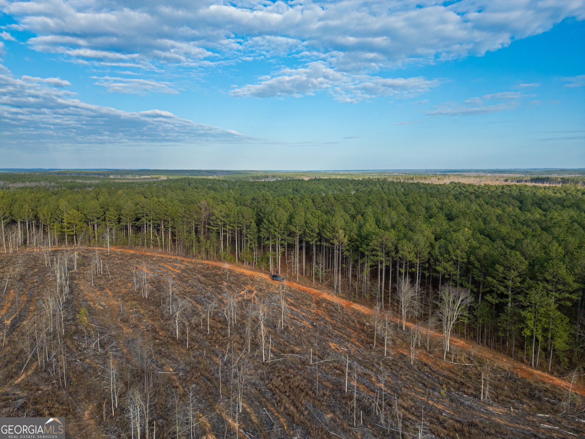 2 Smith Rocky Branch Road Carlton GA 30627