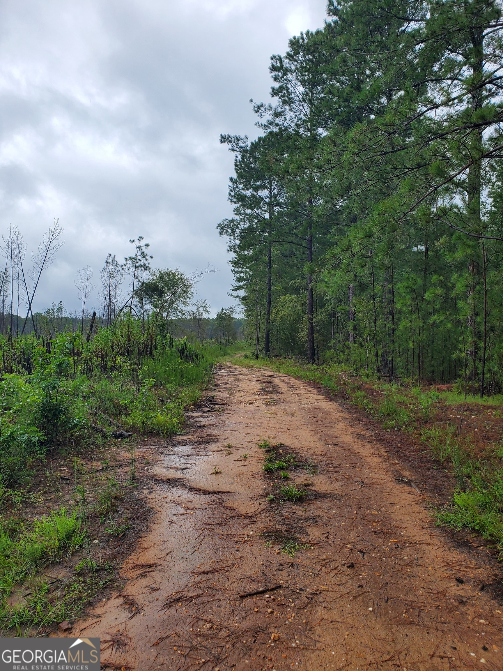 2 Smith Rocky Branch Road Carlton GA 30627