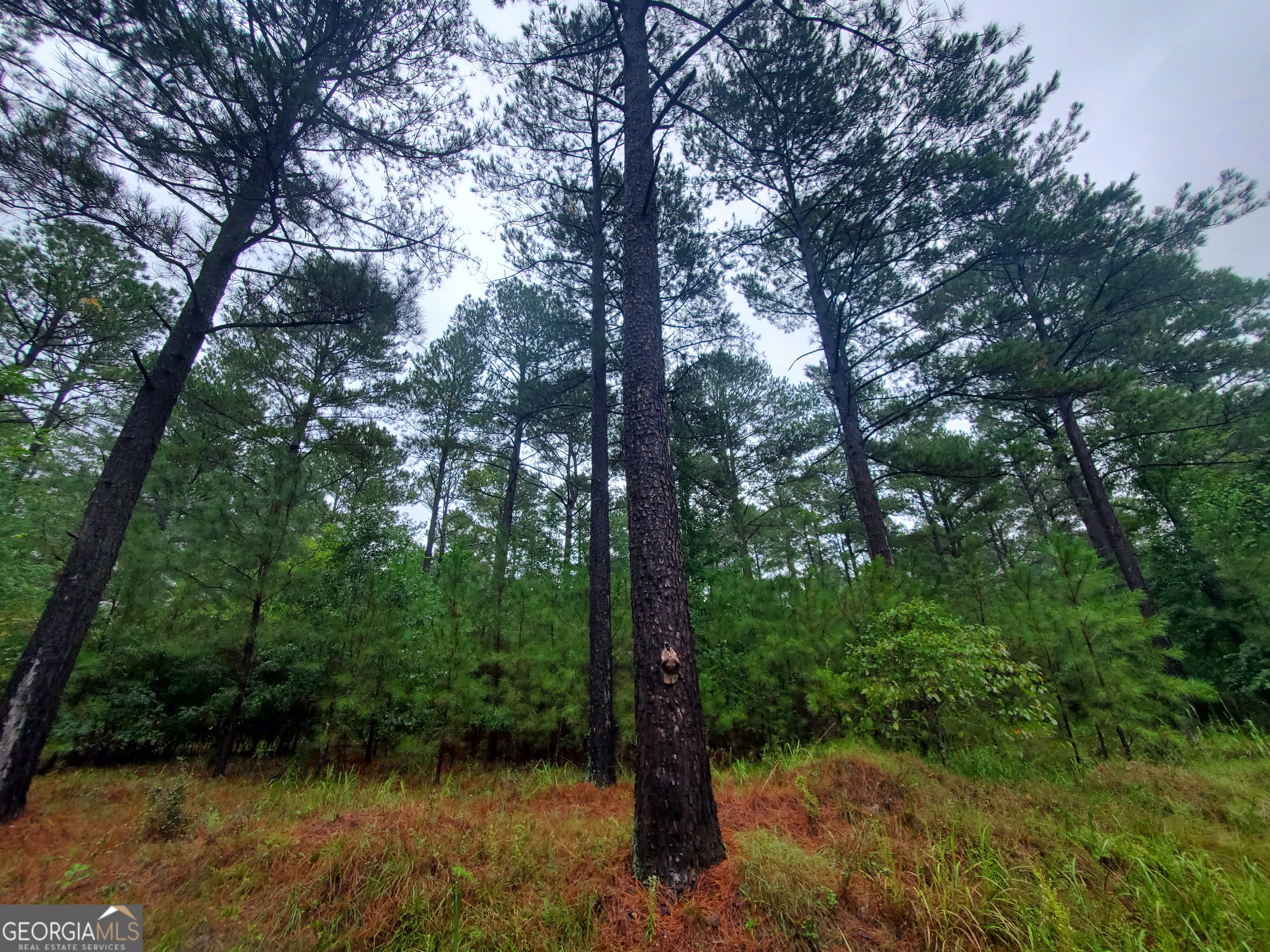 2 Smith Rocky Branch Road Carlton GA 30627
