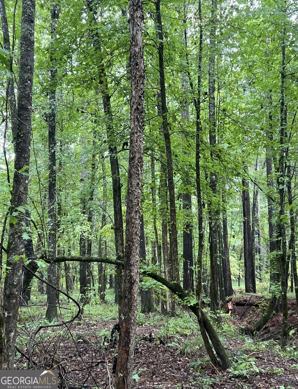 2 Smith Rocky Branch Road Carlton GA 30627