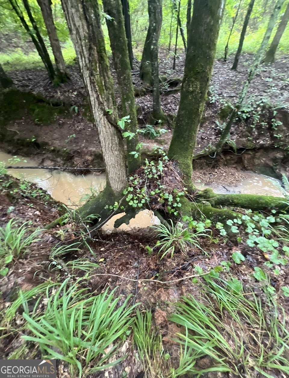 2 Smith Rocky Branch Road Carlton GA 30627