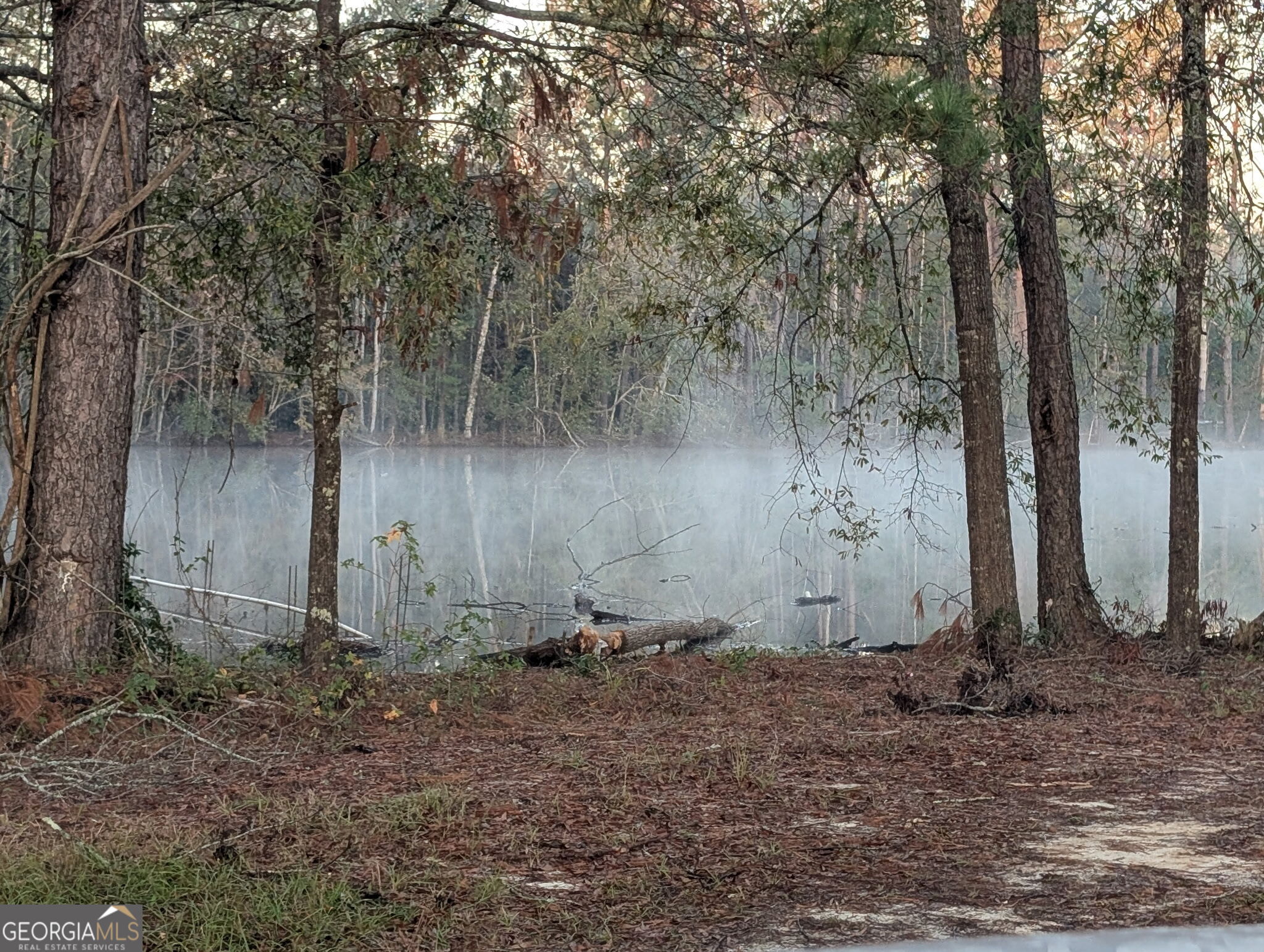 3841 Wilson Road Davisboro GA 31018