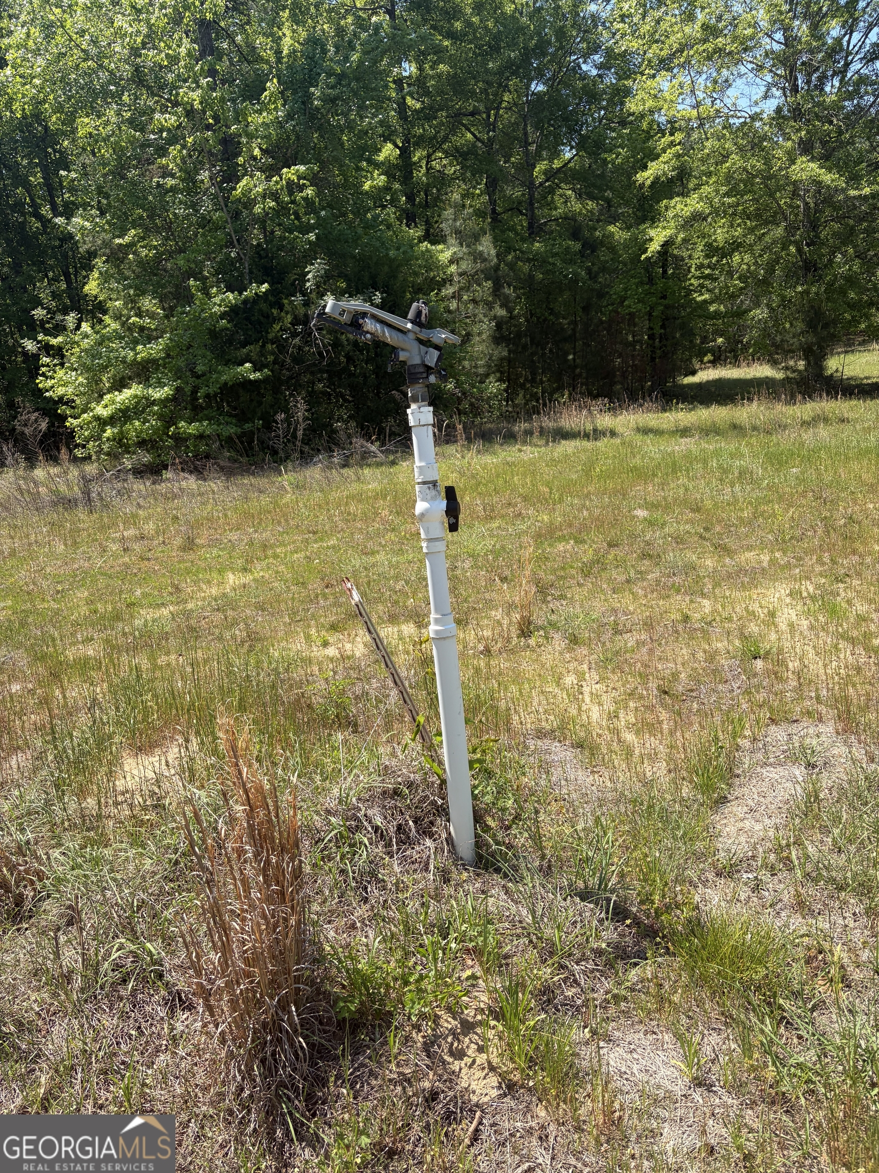 3841 Wilson Road Davisboro GA 31018