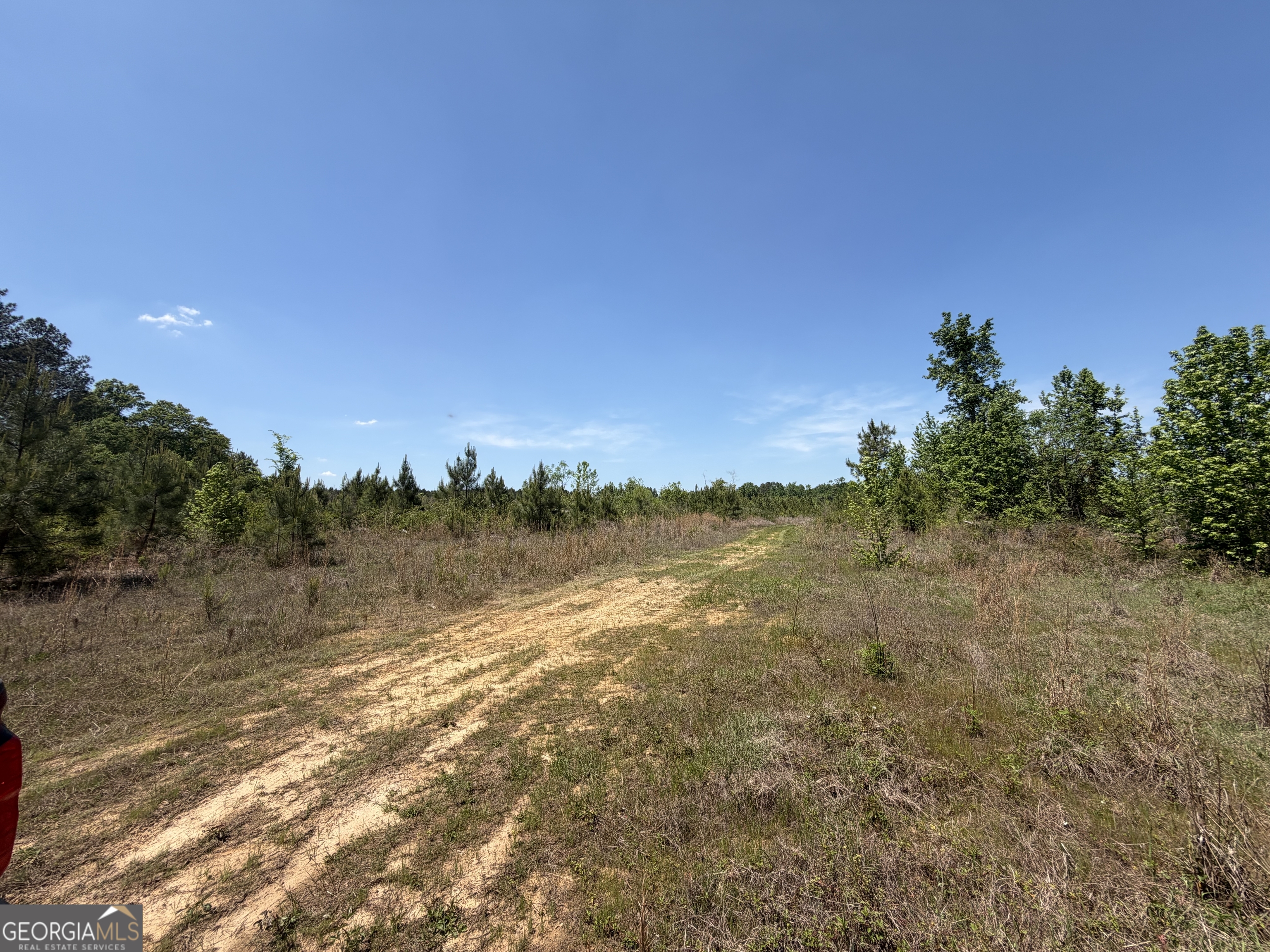 3841 Wilson Road Davisboro GA 31018