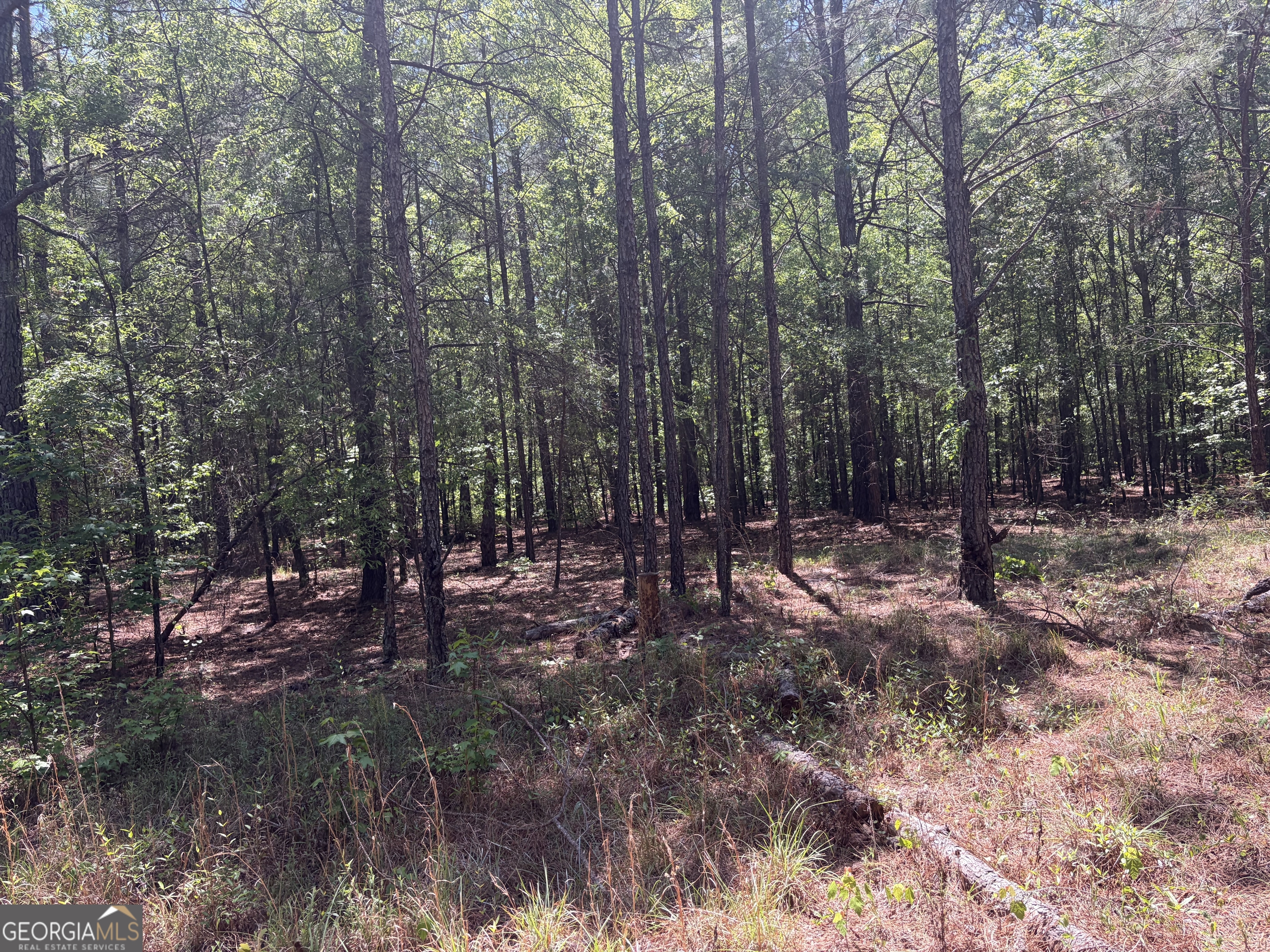 3841 Wilson Road Davisboro GA 31018