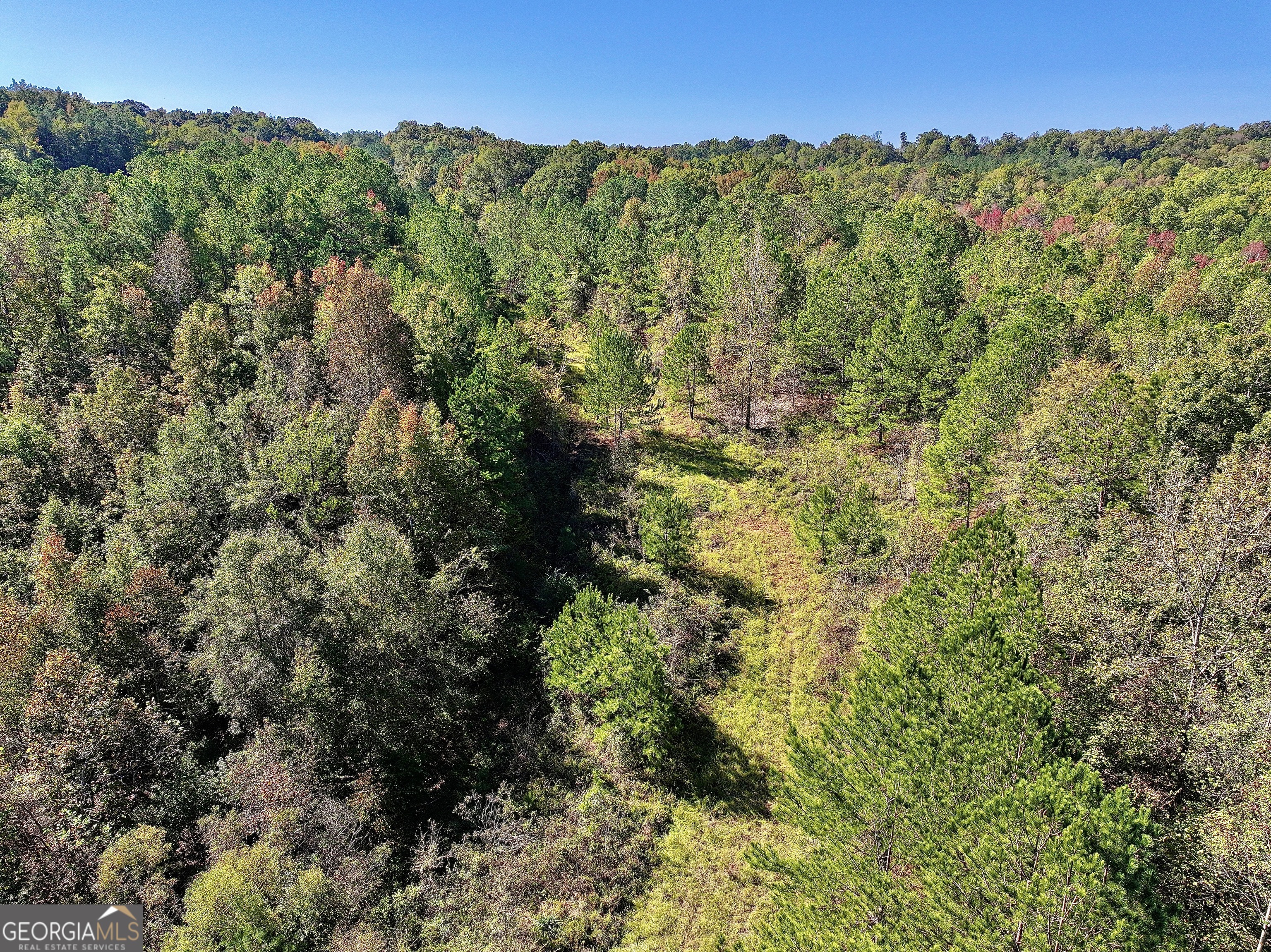 0 Highway 112 Toomsboro GA 31090