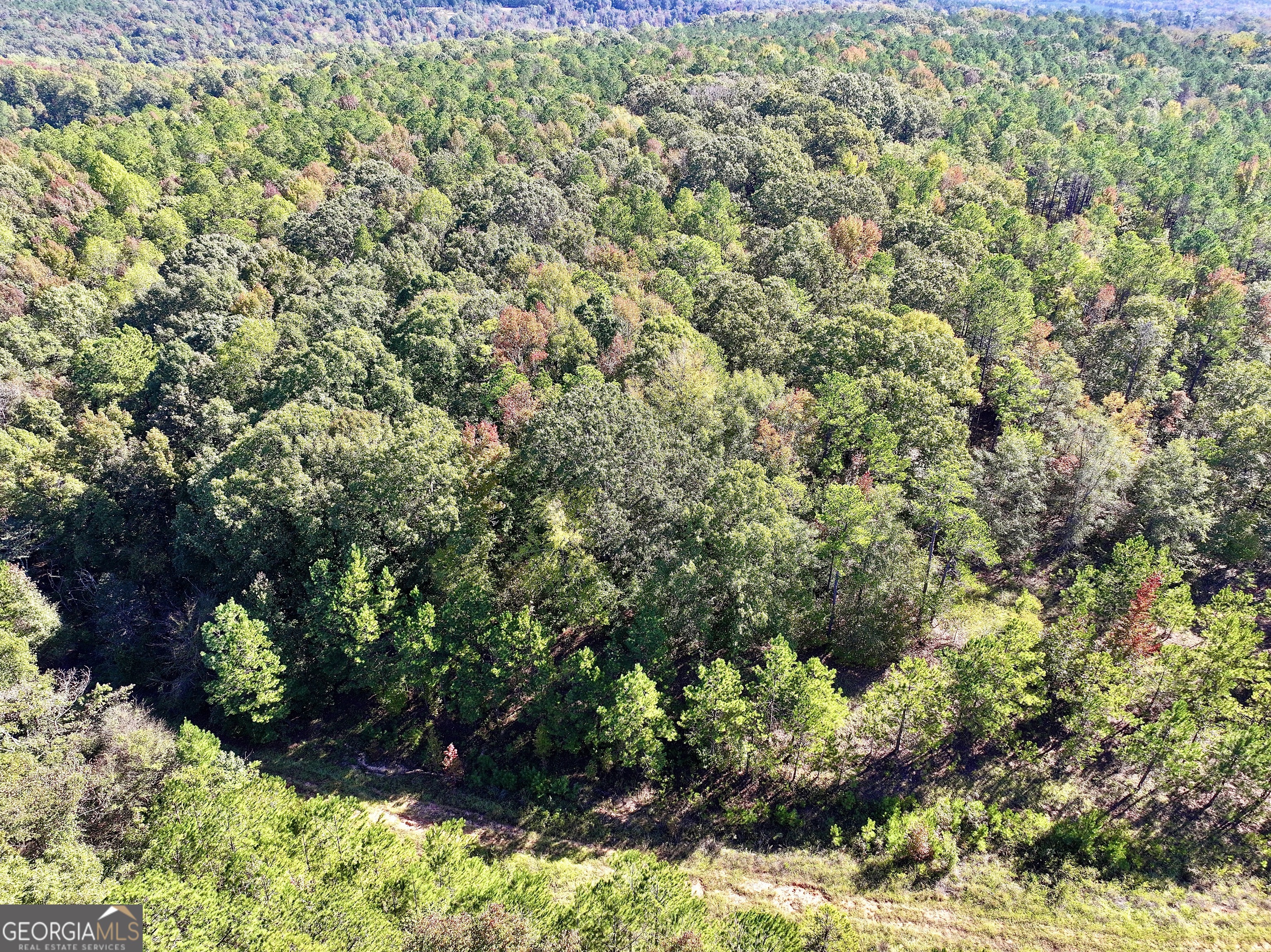 0 Highway 112 Toomsboro GA 31090