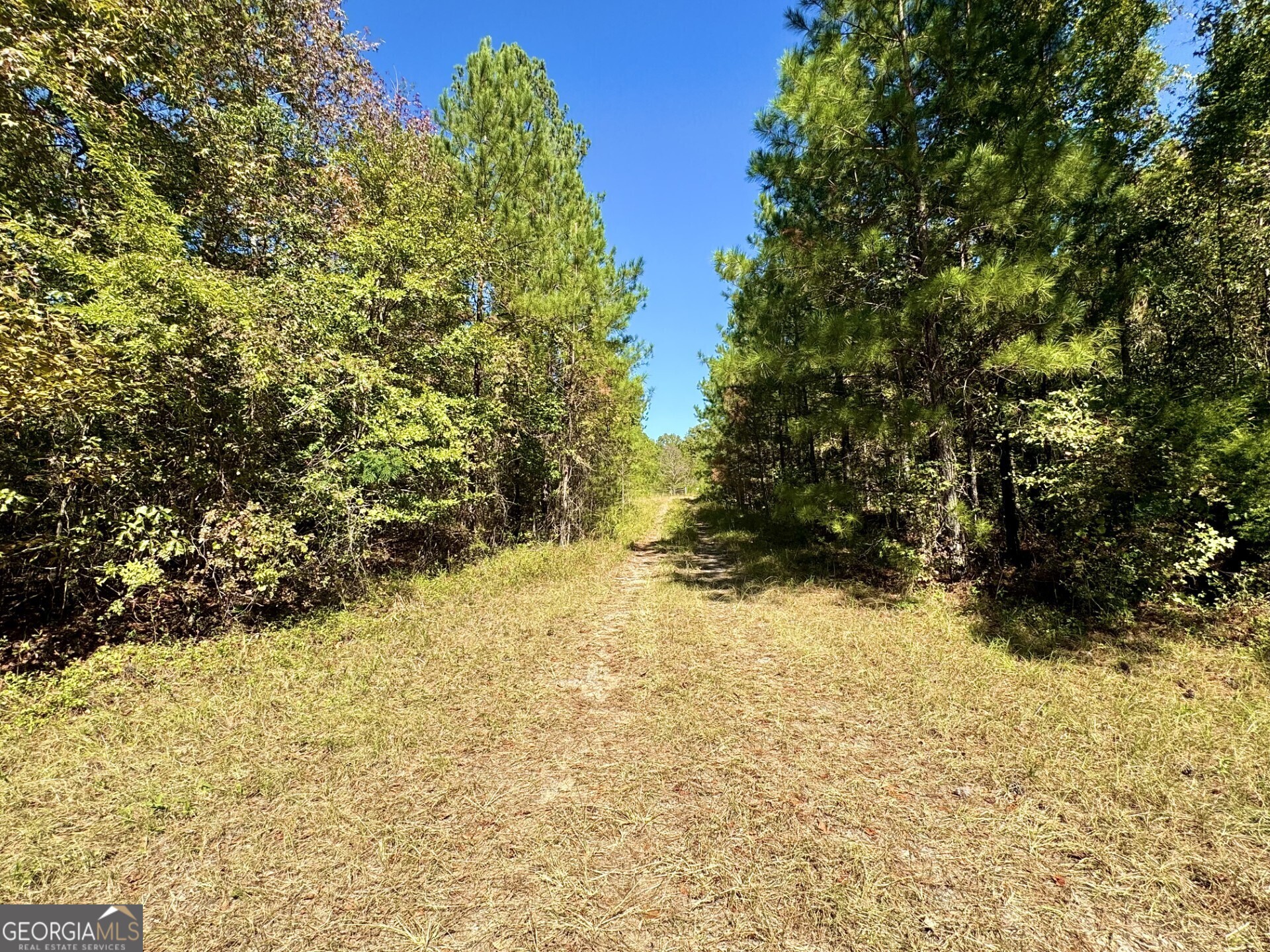 0 Highway 112 Toomsboro GA 31090