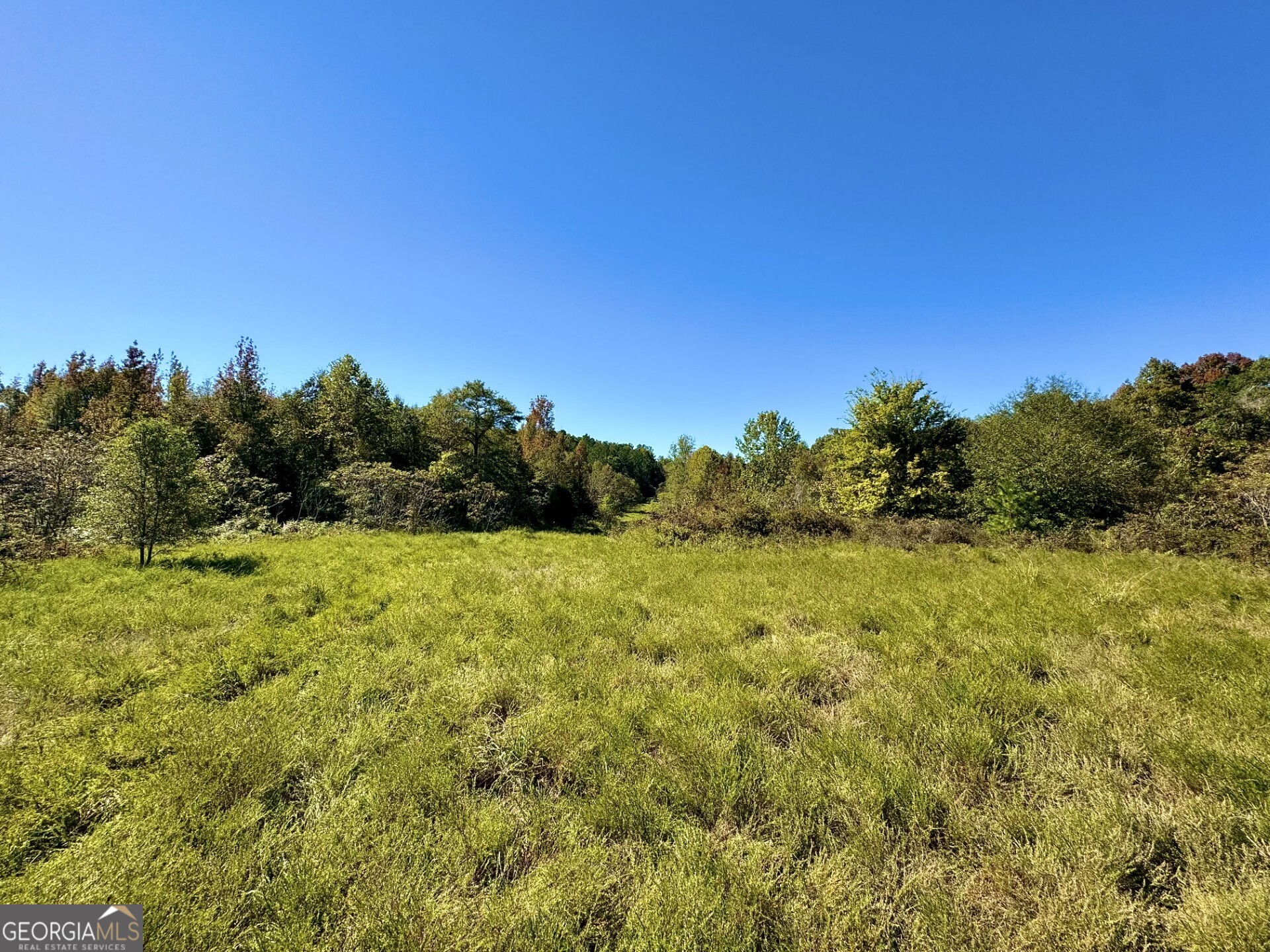 0 Highway 112 Toomsboro GA 31090