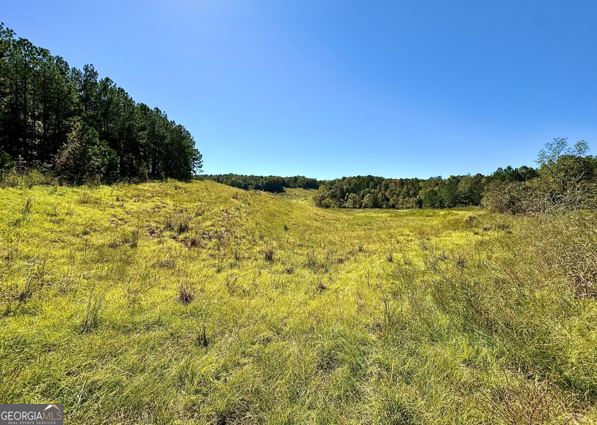 0 Highway 112 Toomsboro GA 31090