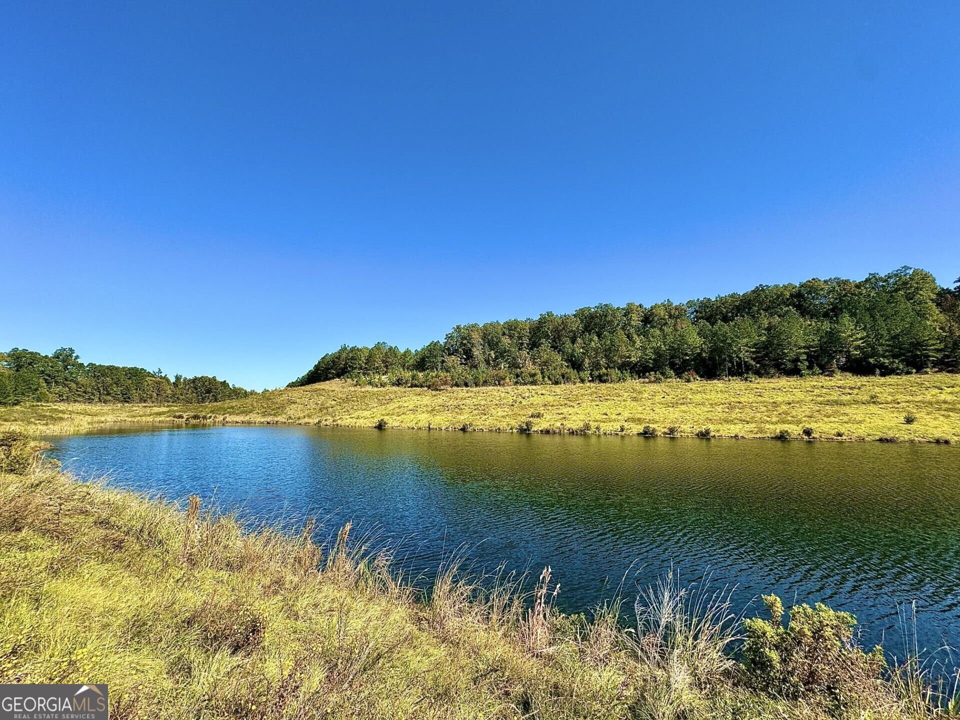 0 Highway 112 Toomsboro GA 31090