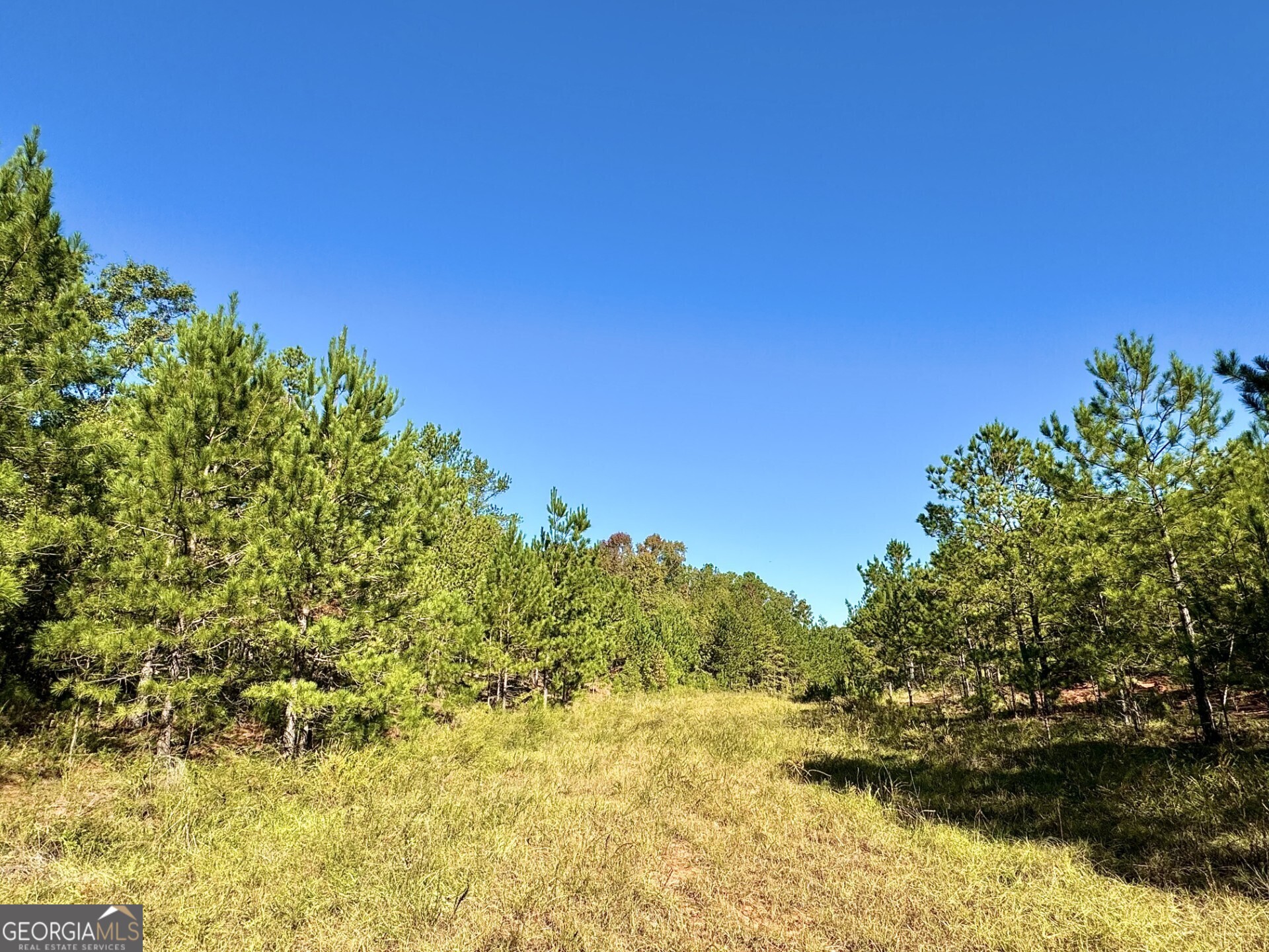 0 Highway 112 Toomsboro GA 31090