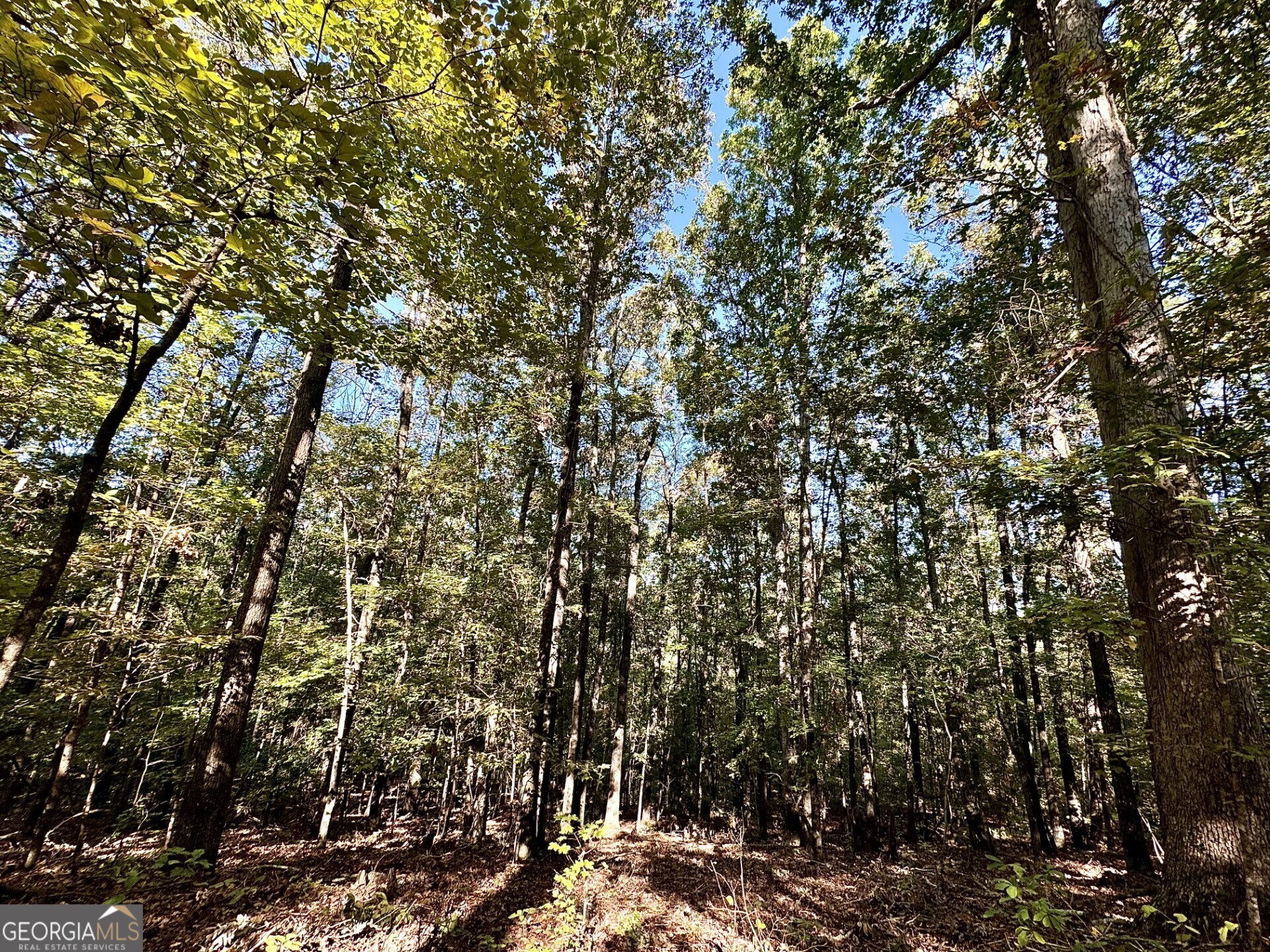 0 Highway 112 Toomsboro GA 31090