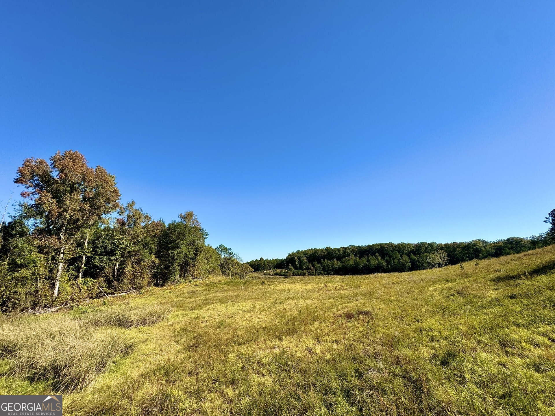 0 Highway 112 Toomsboro GA 31090