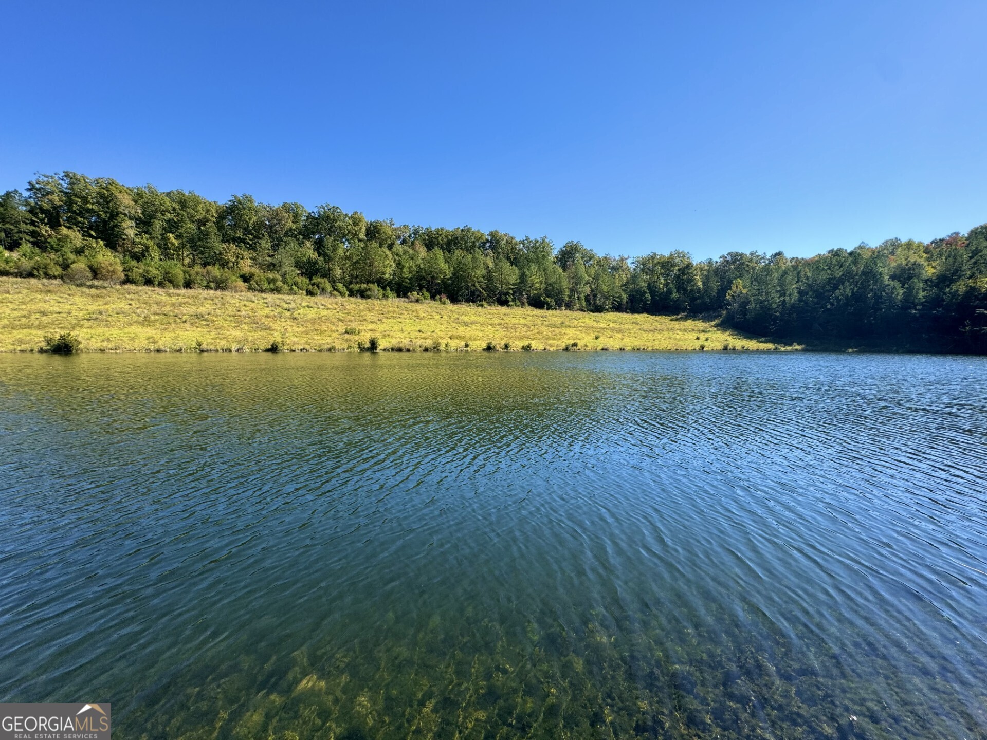 0 Highway 112 Toomsboro GA 31090