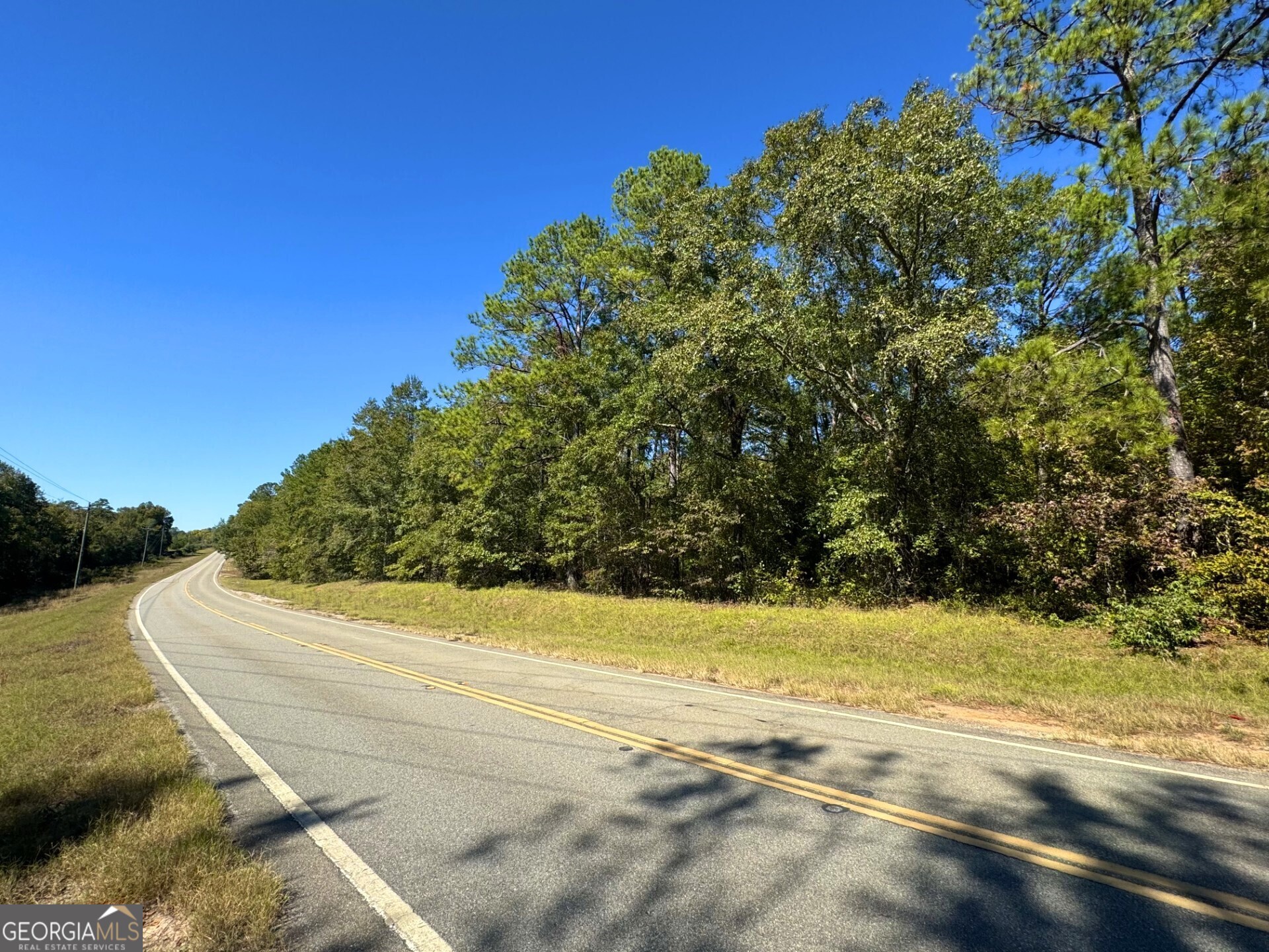 0 Highway 112 Toomsboro GA 31090