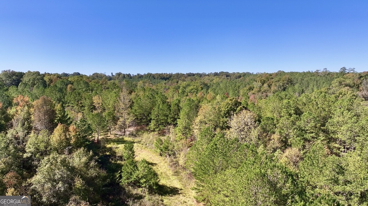 0 Highway 112 Toomsboro GA 31090