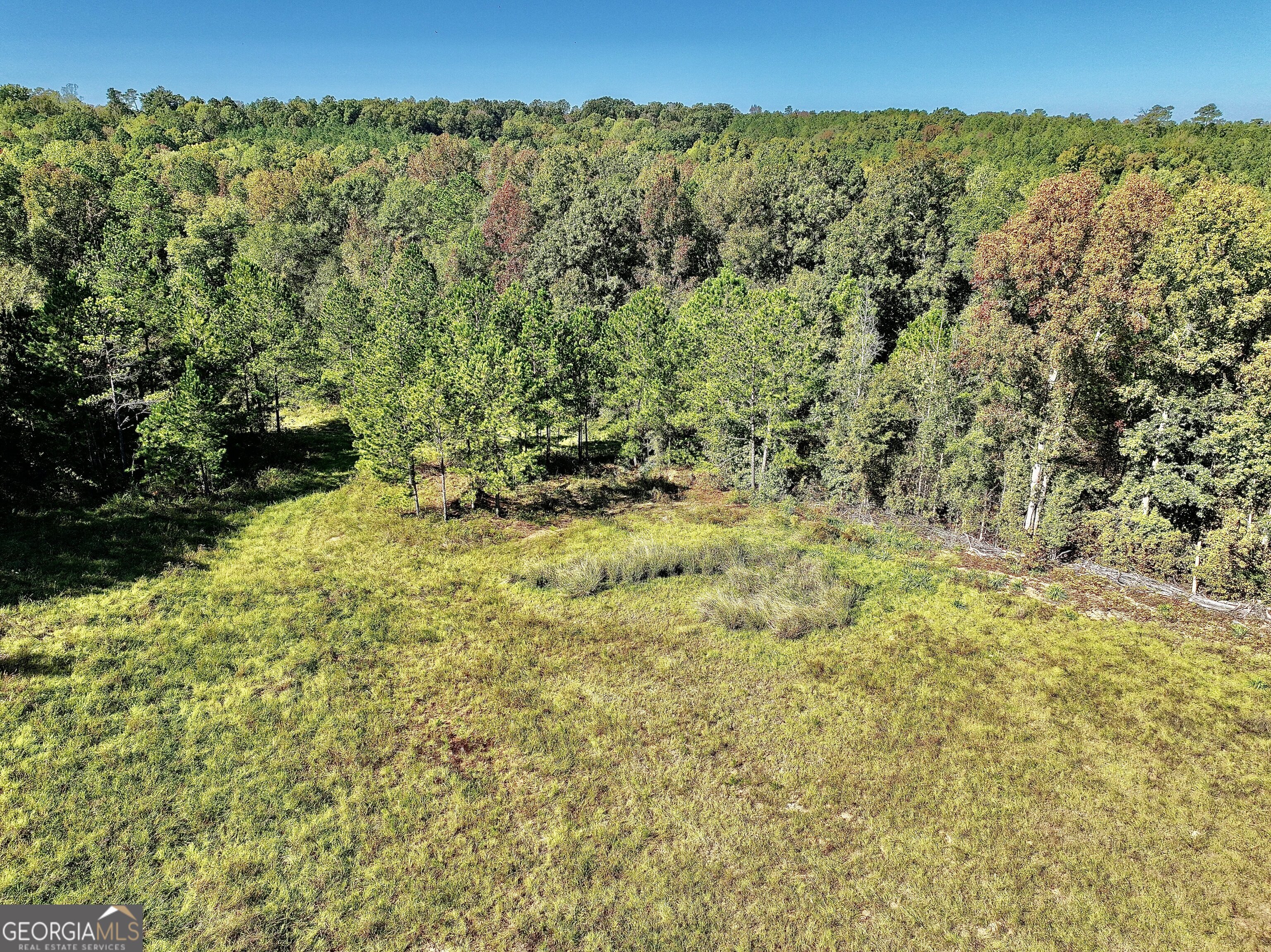 0 Highway 112 Toomsboro GA 31090