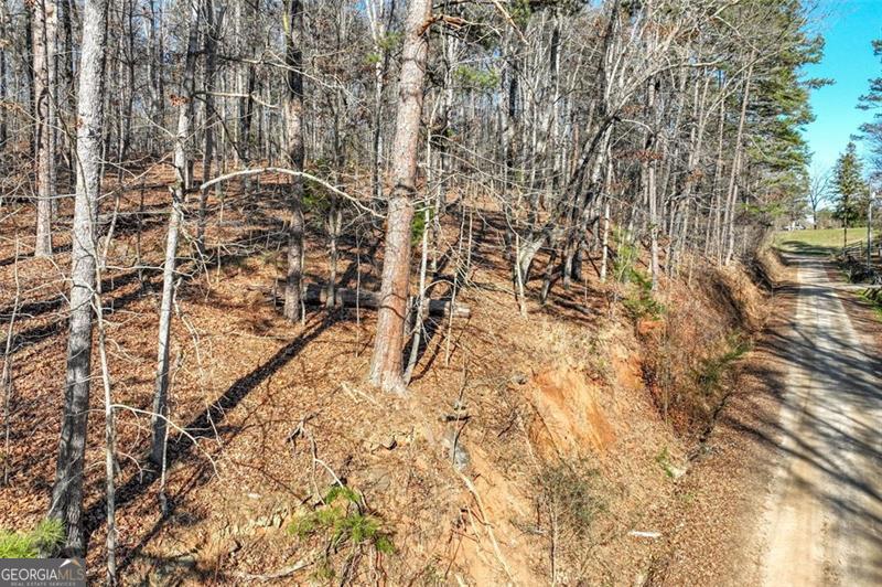 9384 Skitts Mountain Drive Lula GA 30554