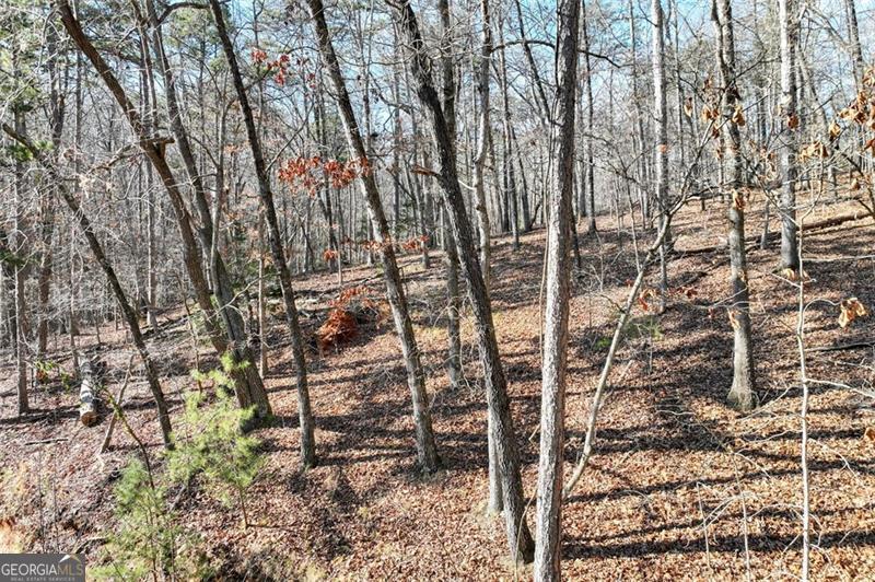 9384 Skitts Mountain Drive Lula GA 30554