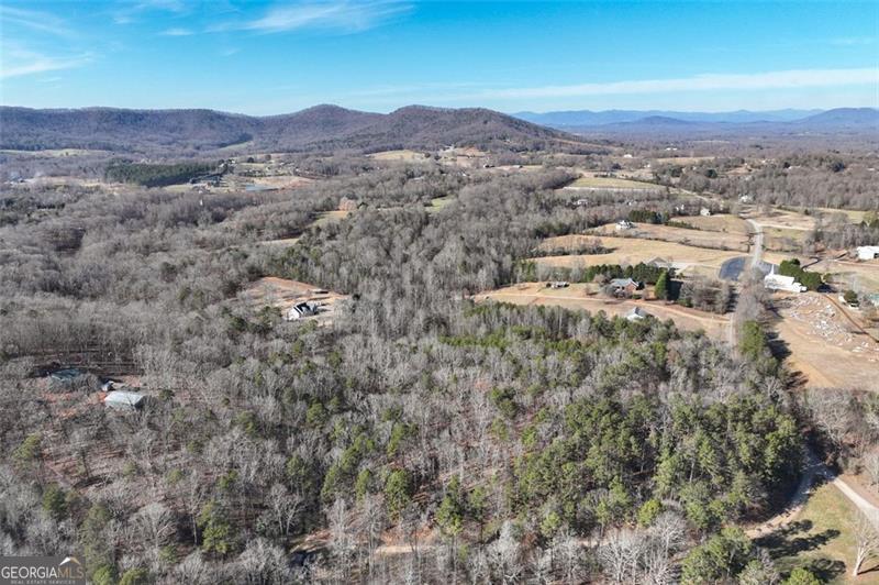 9384 Skitts Mountain Drive Lula GA 30554