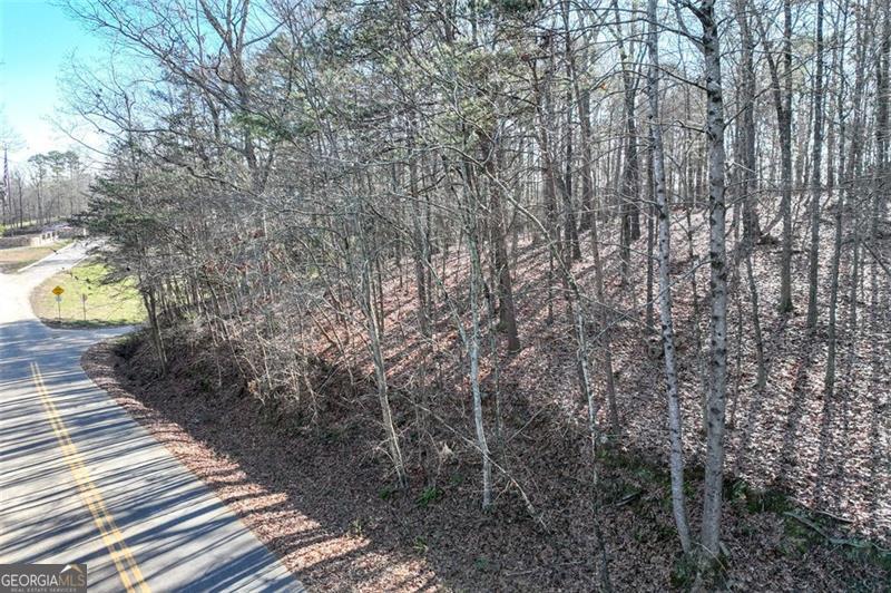 9384 Skitts Mountain Drive Lula GA 30554