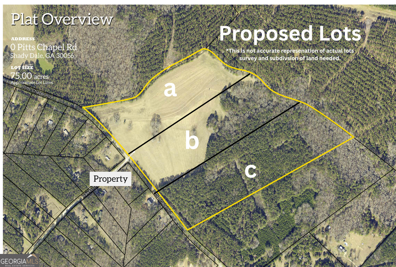 0 Lot A Pitts Chapel Road Monticello GA 31064