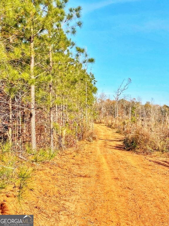 0 Fullerton-phillips & Greer Road Hillsboro GA 31038