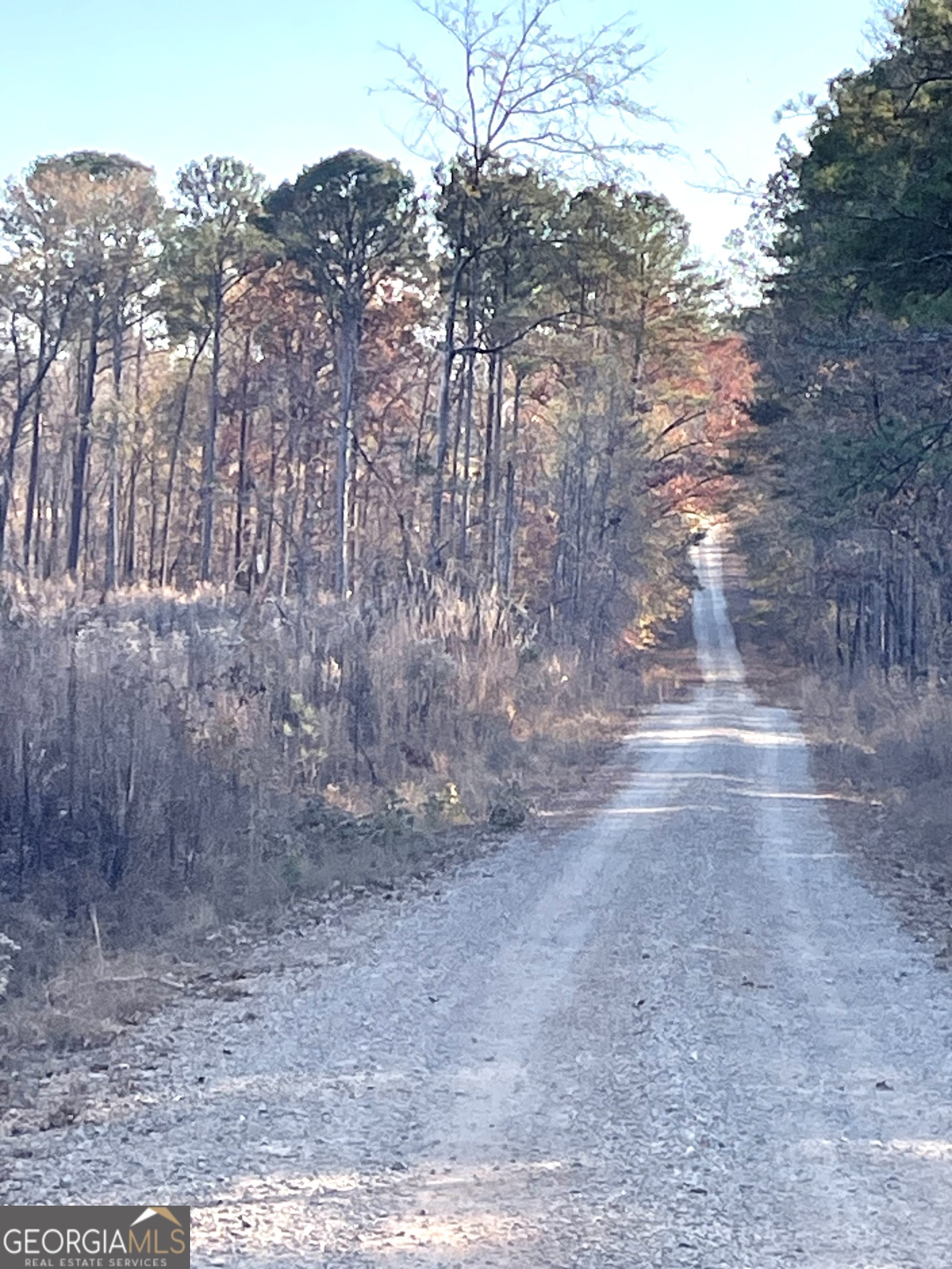 0 Fullerton-phillips & Greer Road Hillsboro GA 31038