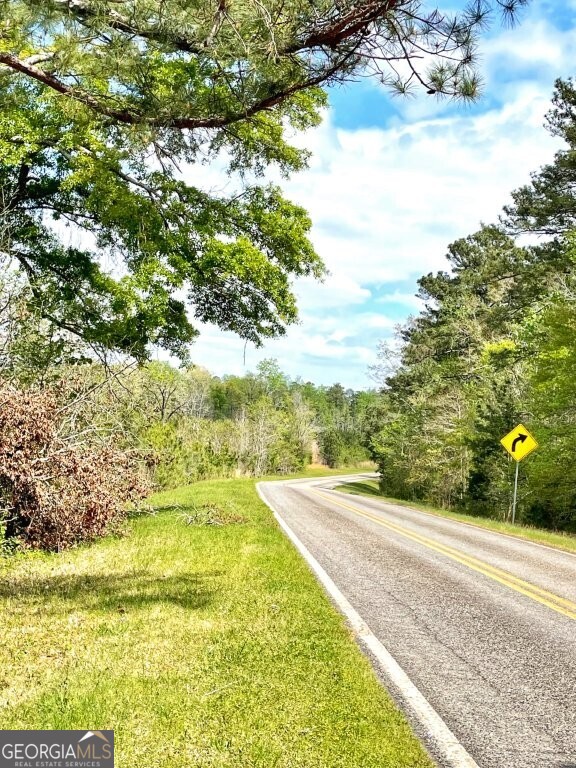 0 Fullerton-phillips & Greer Road Hillsboro GA 31038