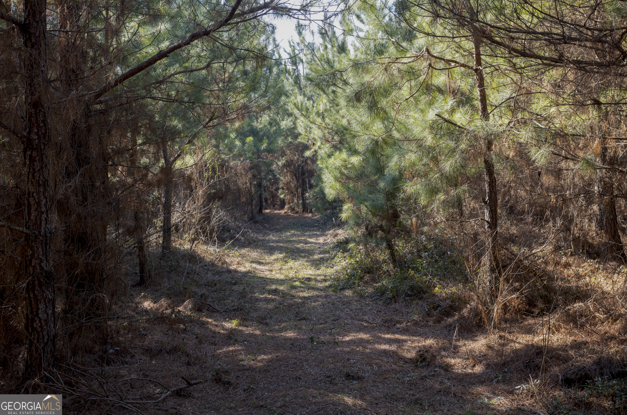 0 S U 82 Highway E Cuthbert GA 39840