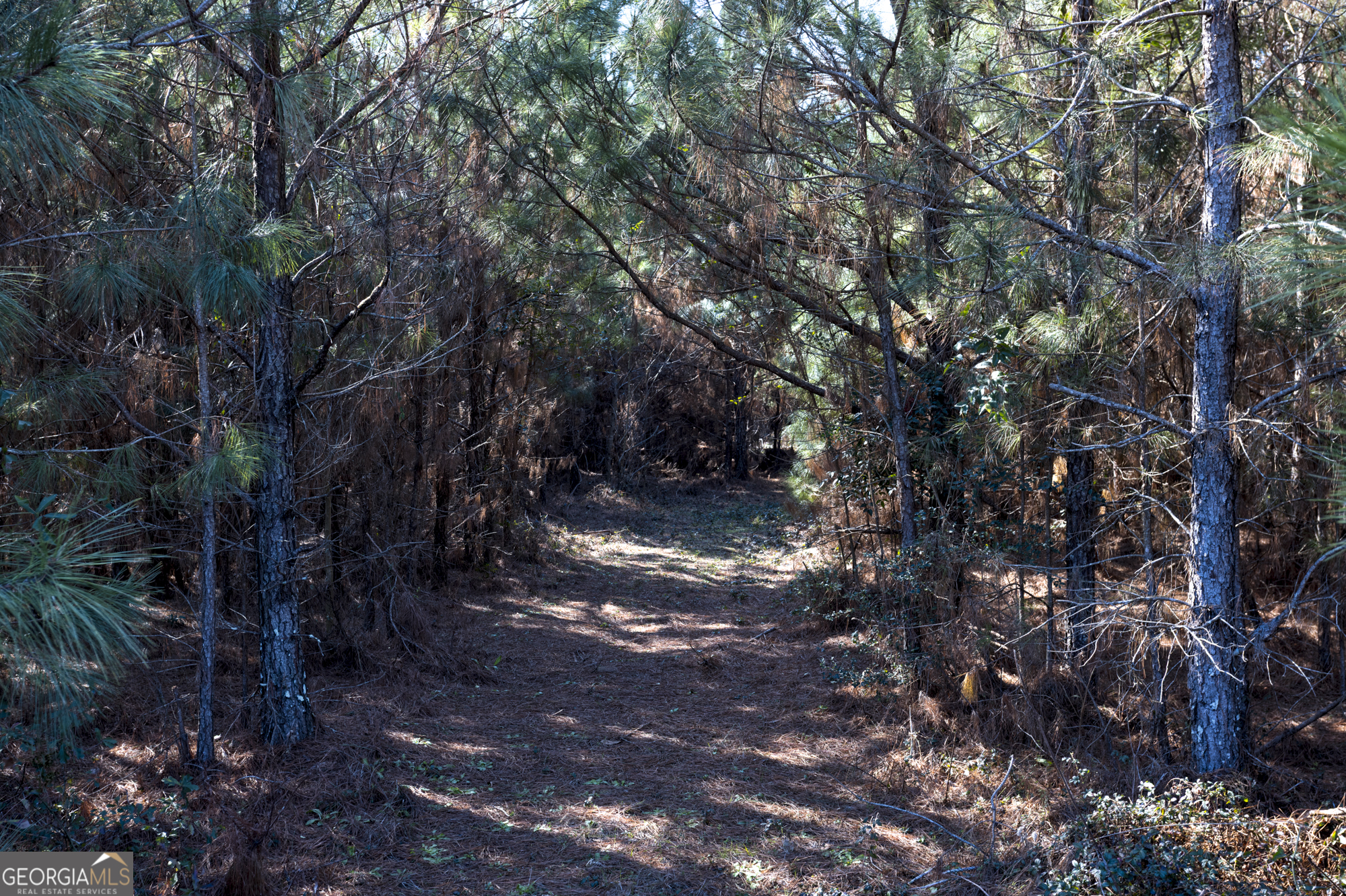 0 S U 82 Highway E Cuthbert GA 39840