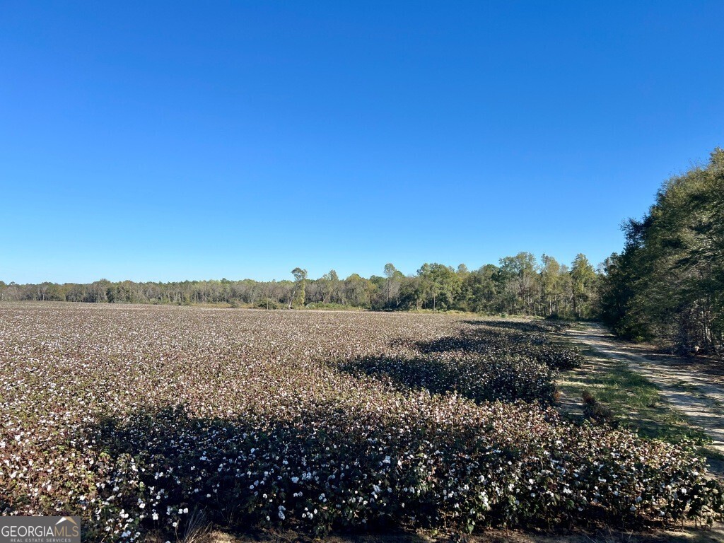 0 Bowen Hill Road Garfield GA 30425