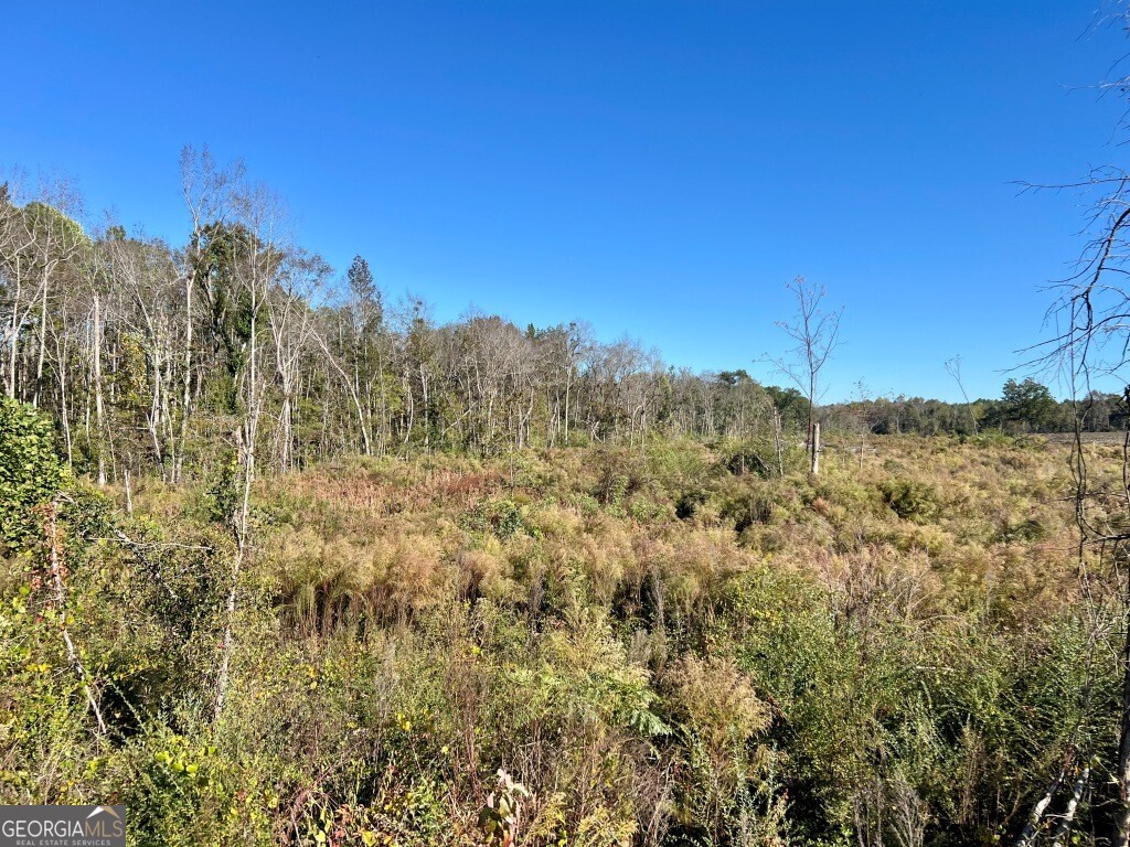 0 Bowen Hill Road Garfield GA 30425