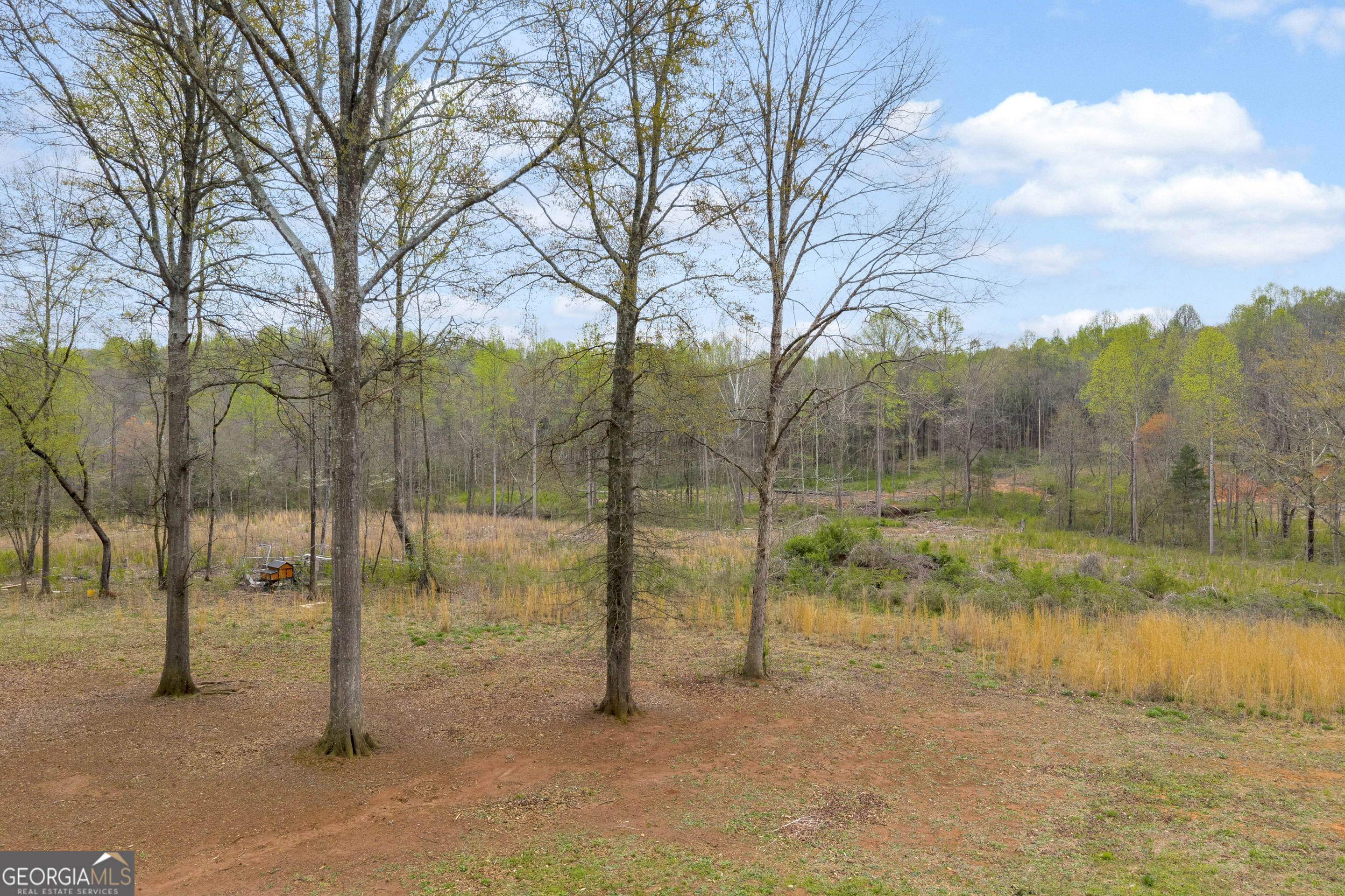 1934 Pleasant Hill Road Martin GA 30557