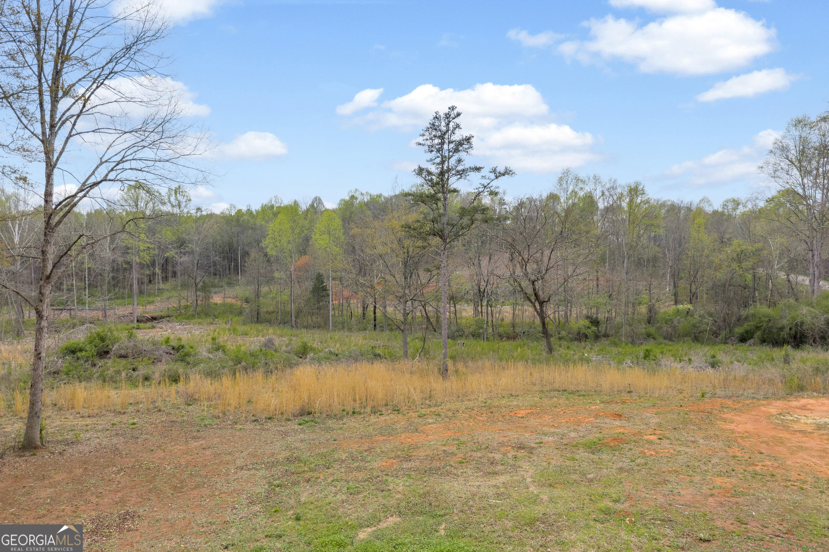 1934 Pleasant Hill Road Martin GA 30557