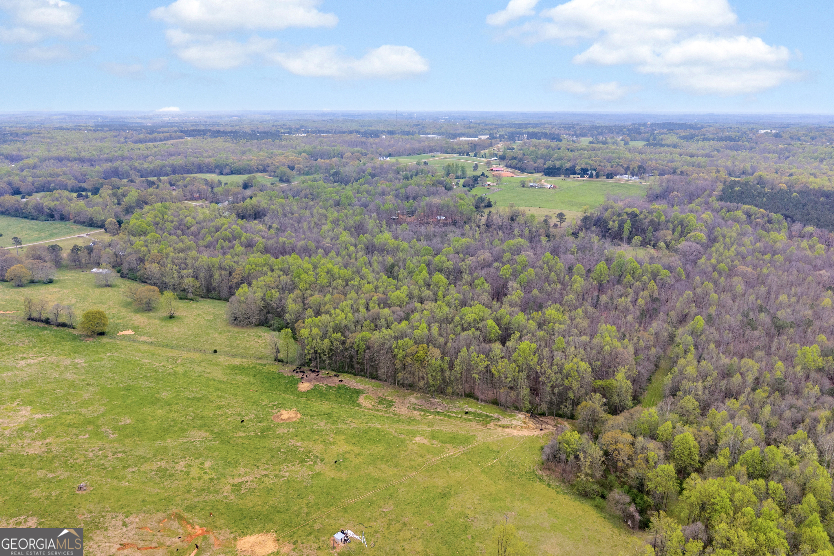1934 Pleasant Hill Road Martin GA 30557