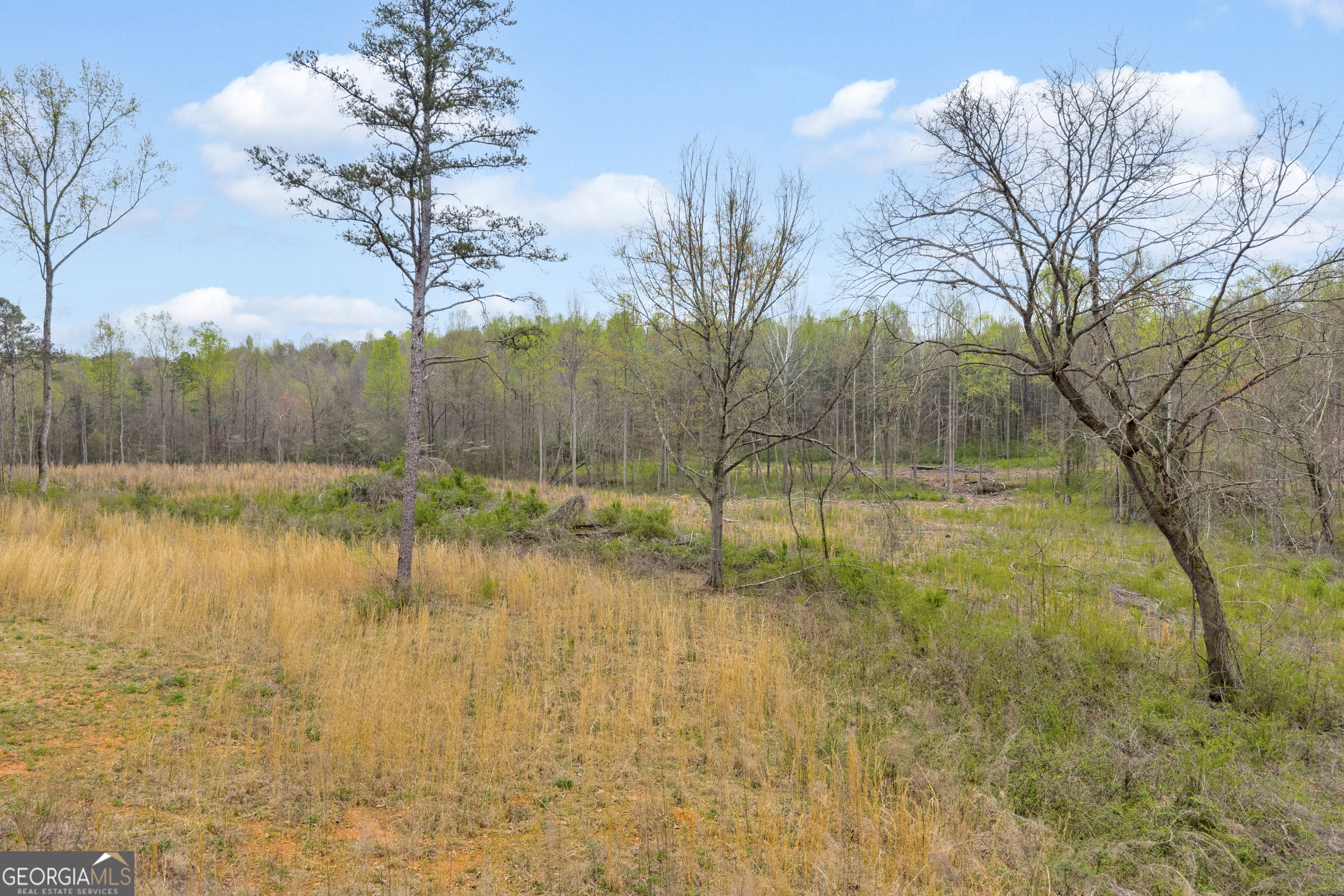 1934 Pleasant Hill Road Martin GA 30557