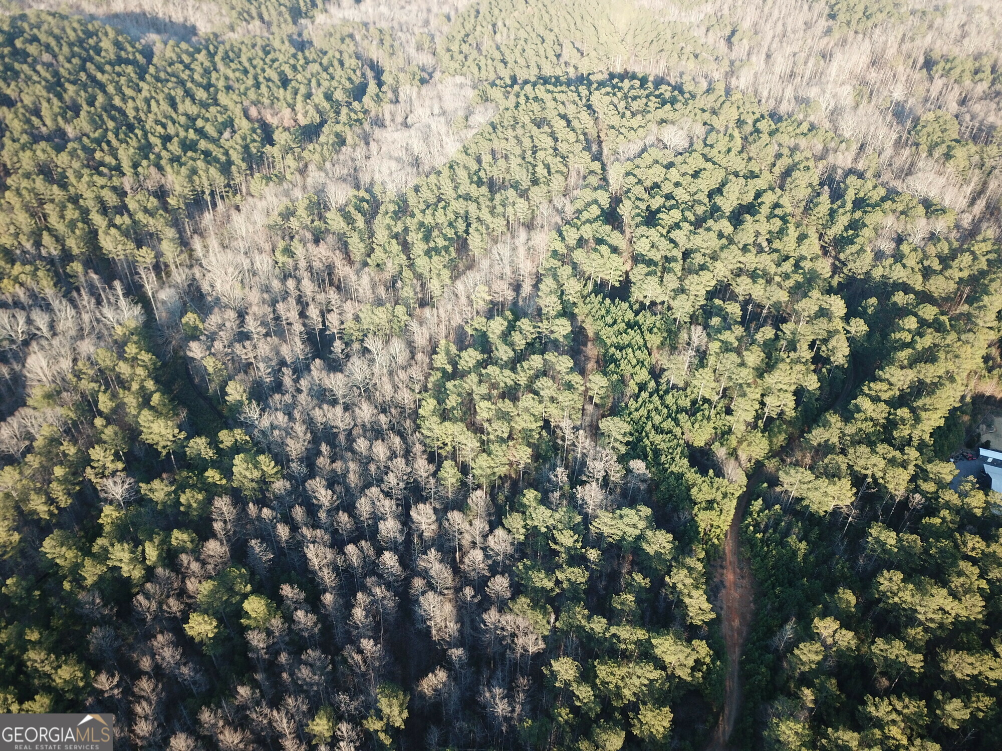 0 - Tract 1 Mount Zion Church Road Whitesburg GA 30185