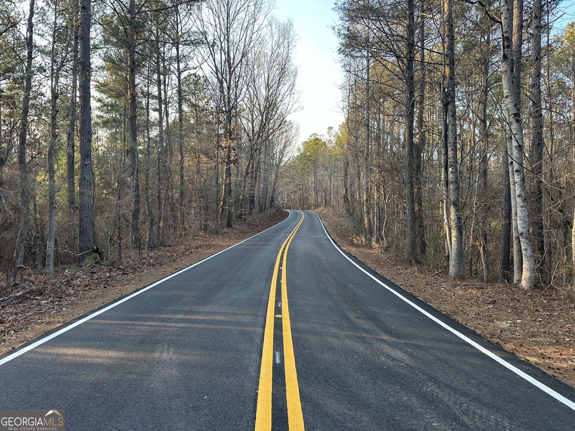 0 - Tract 1 Mount Zion Church Road Whitesburg GA 30185