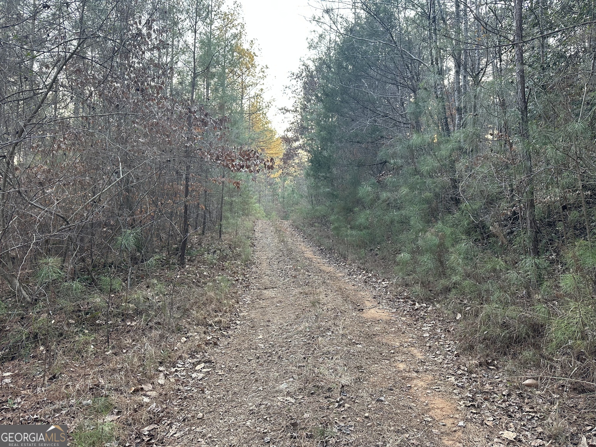 0 - Tract 1 Mount Zion Church Road Whitesburg GA 30185