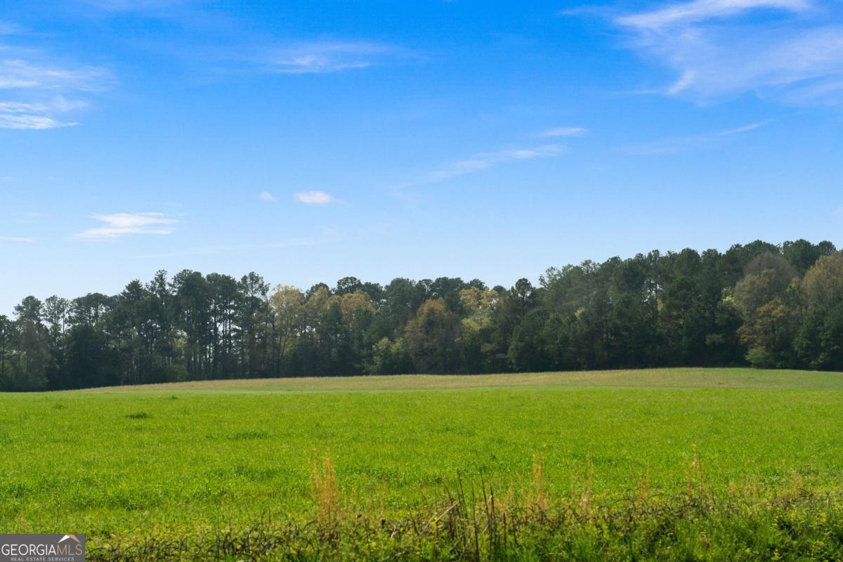 0 Miller Farm Road Tract 5 Road Taylorsville GA 30178