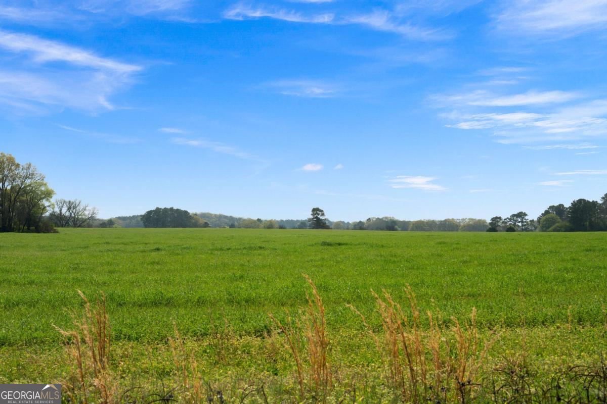 0 Miller Farm Road Tract 5 Road Taylorsville GA 30178