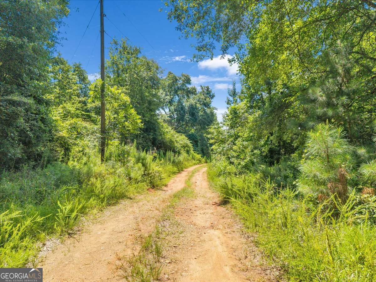 336 Piney Grove Road Comer GA 30629