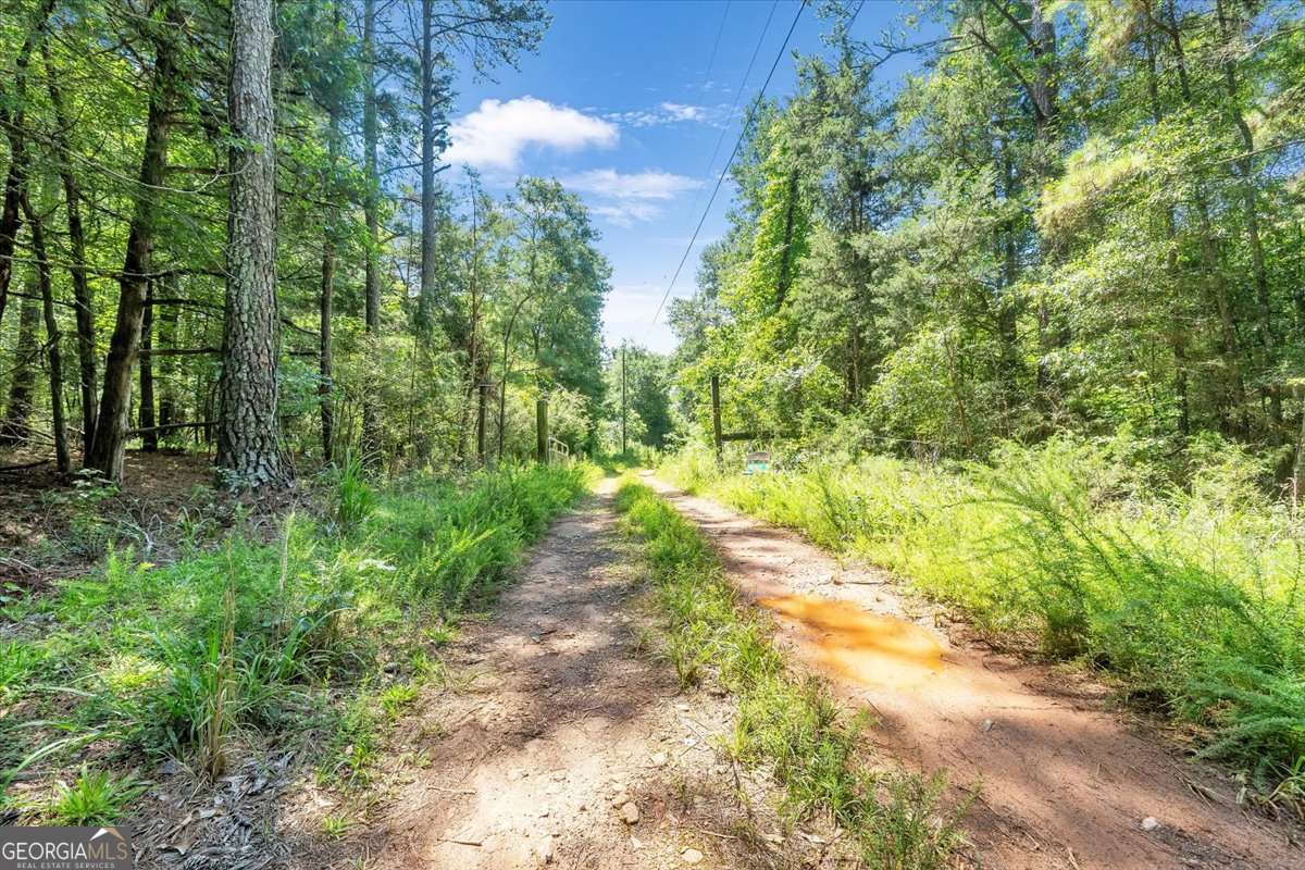 336 Piney Grove Road Comer GA 30629
