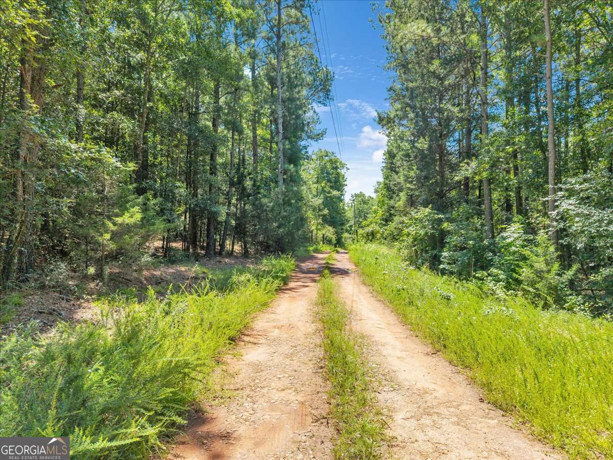 336 Piney Grove Road Comer GA 30629
