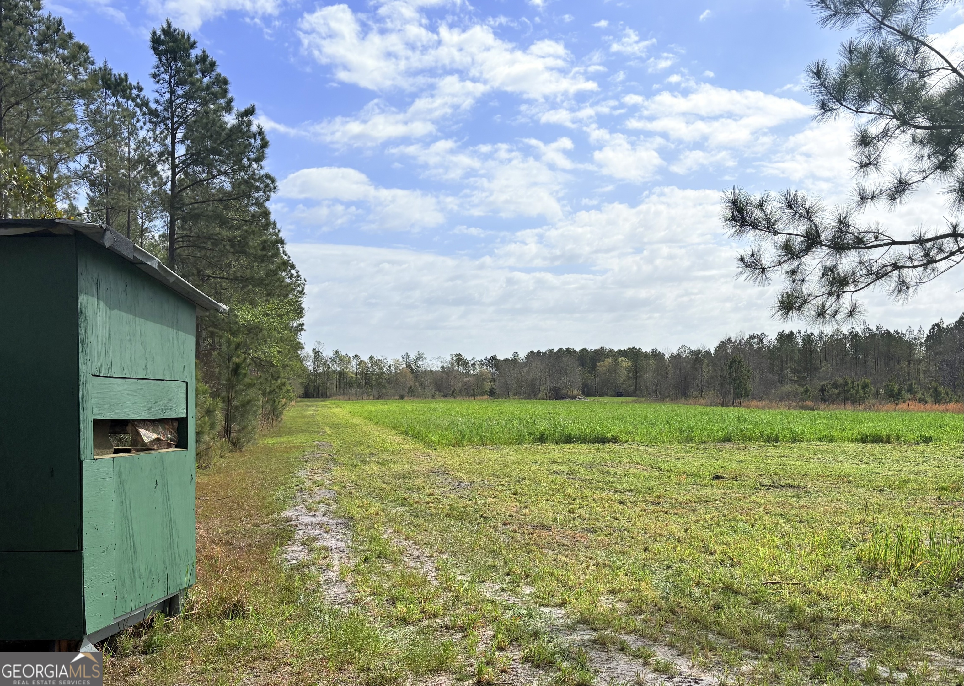 0 Sandy Creek Road Irwinton GA 31042