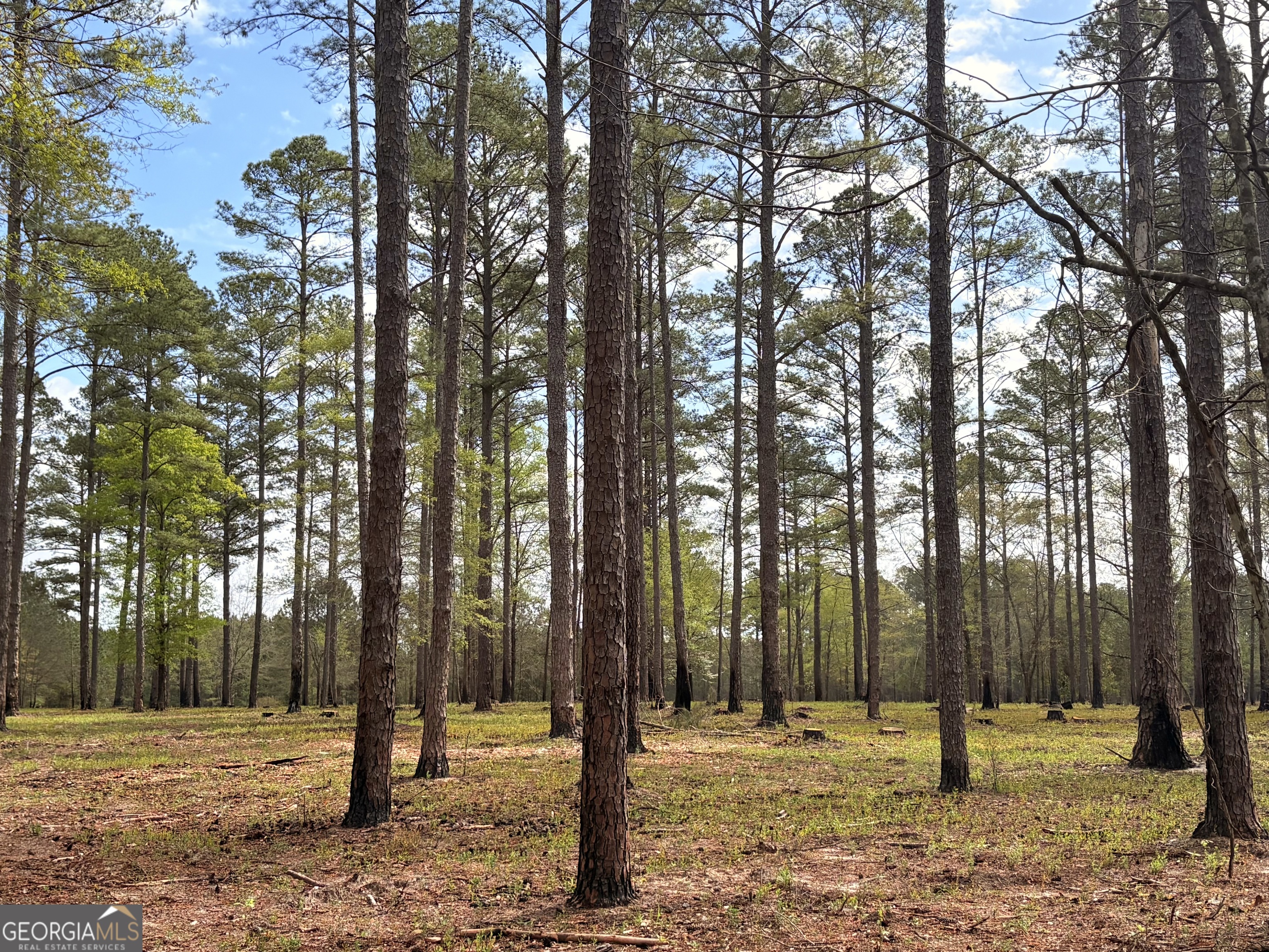0 Sandy Creek Road Irwinton GA 31042