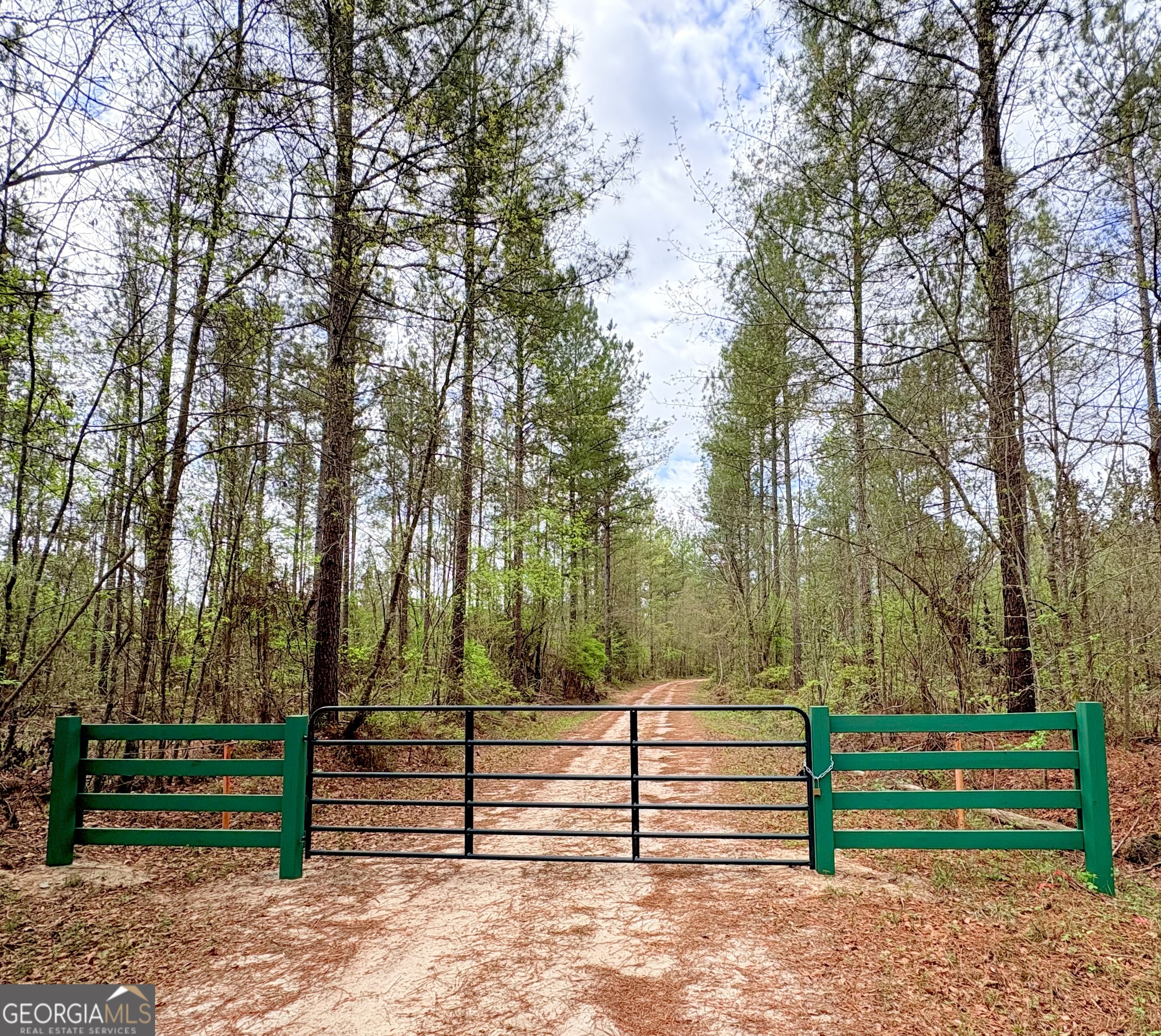 0 Sandy Creek Road Irwinton GA 31042