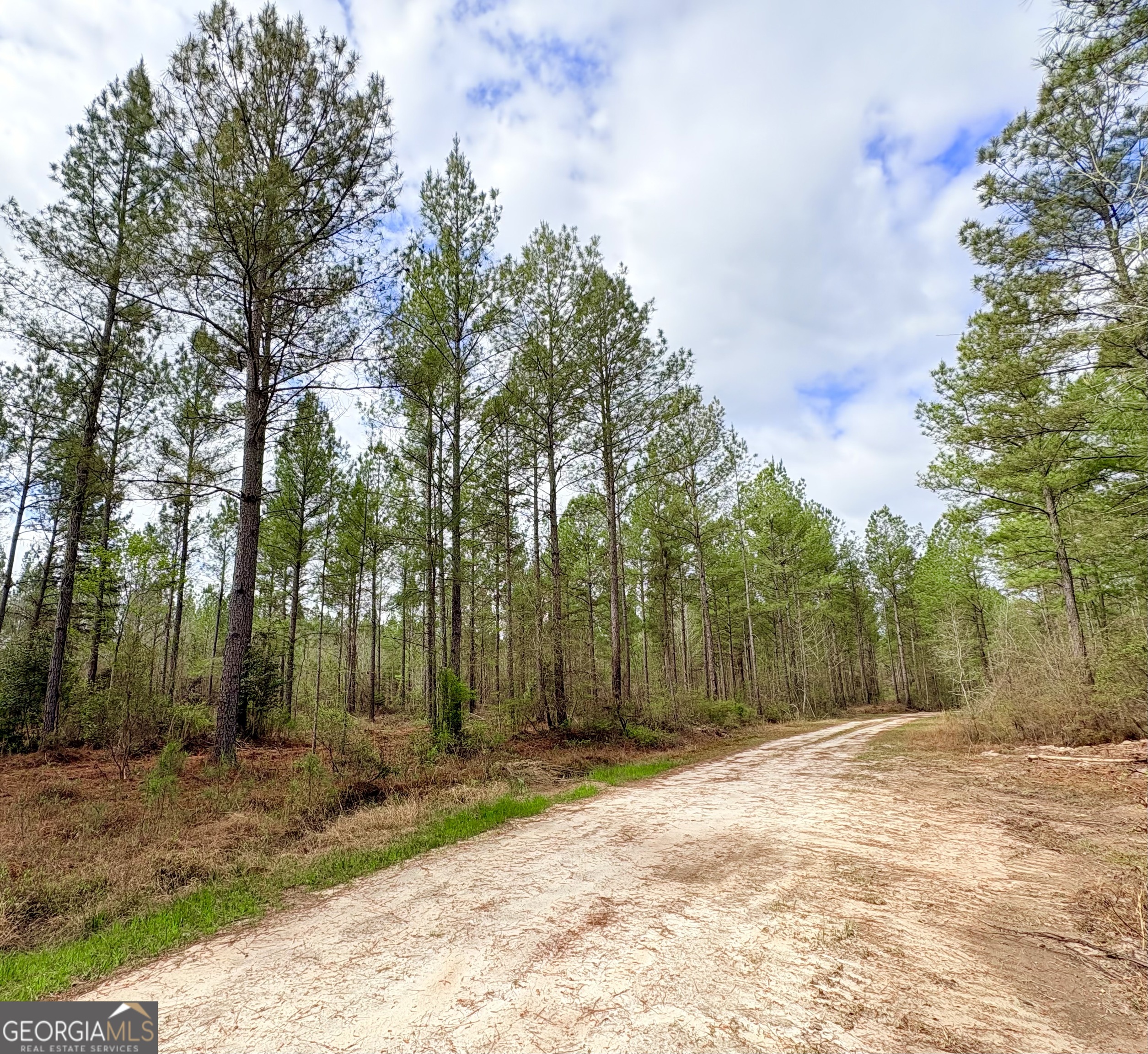 0 Sandy Creek Road Irwinton GA 31042